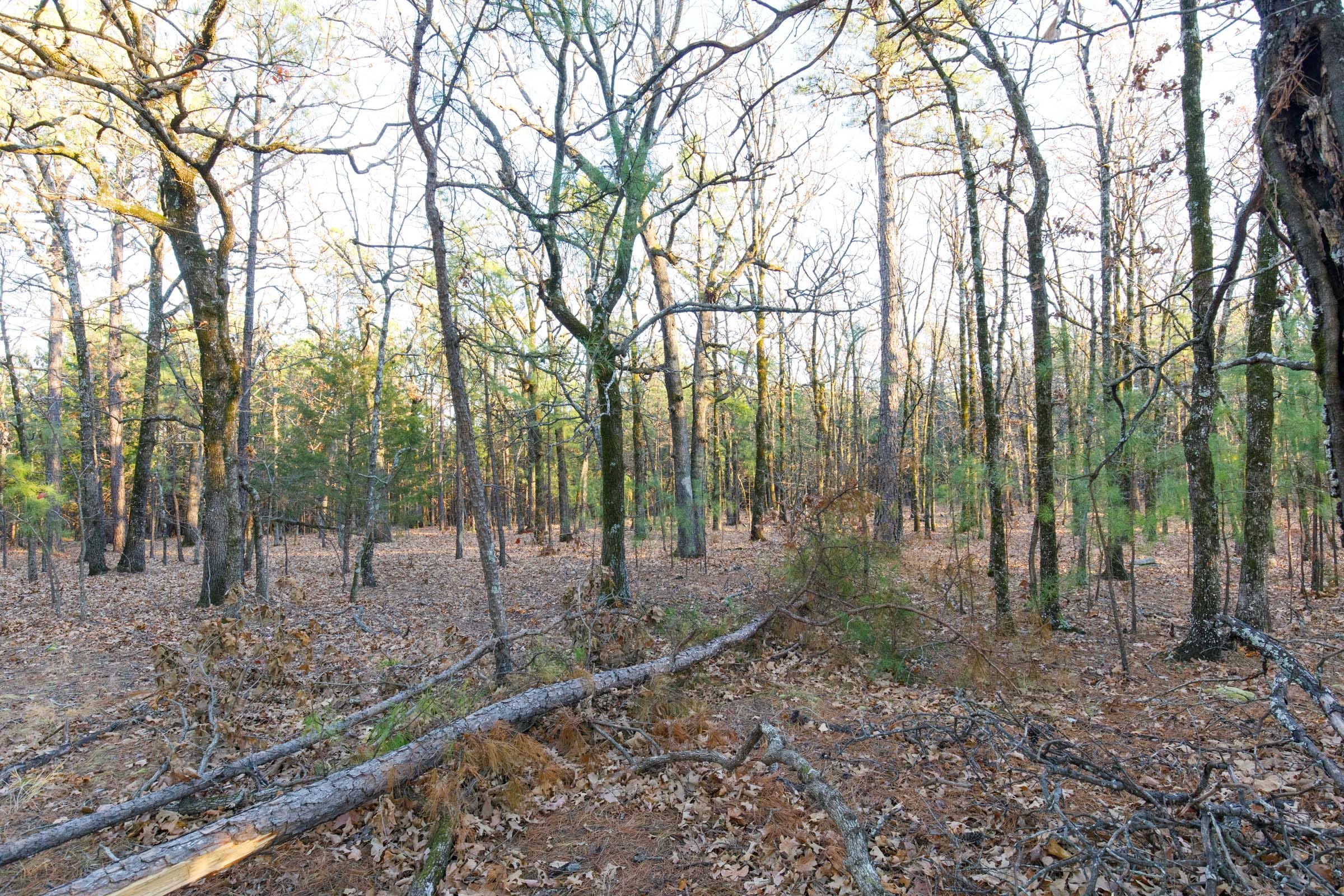 Stone Bridge Phase II Tract 90 photo 6