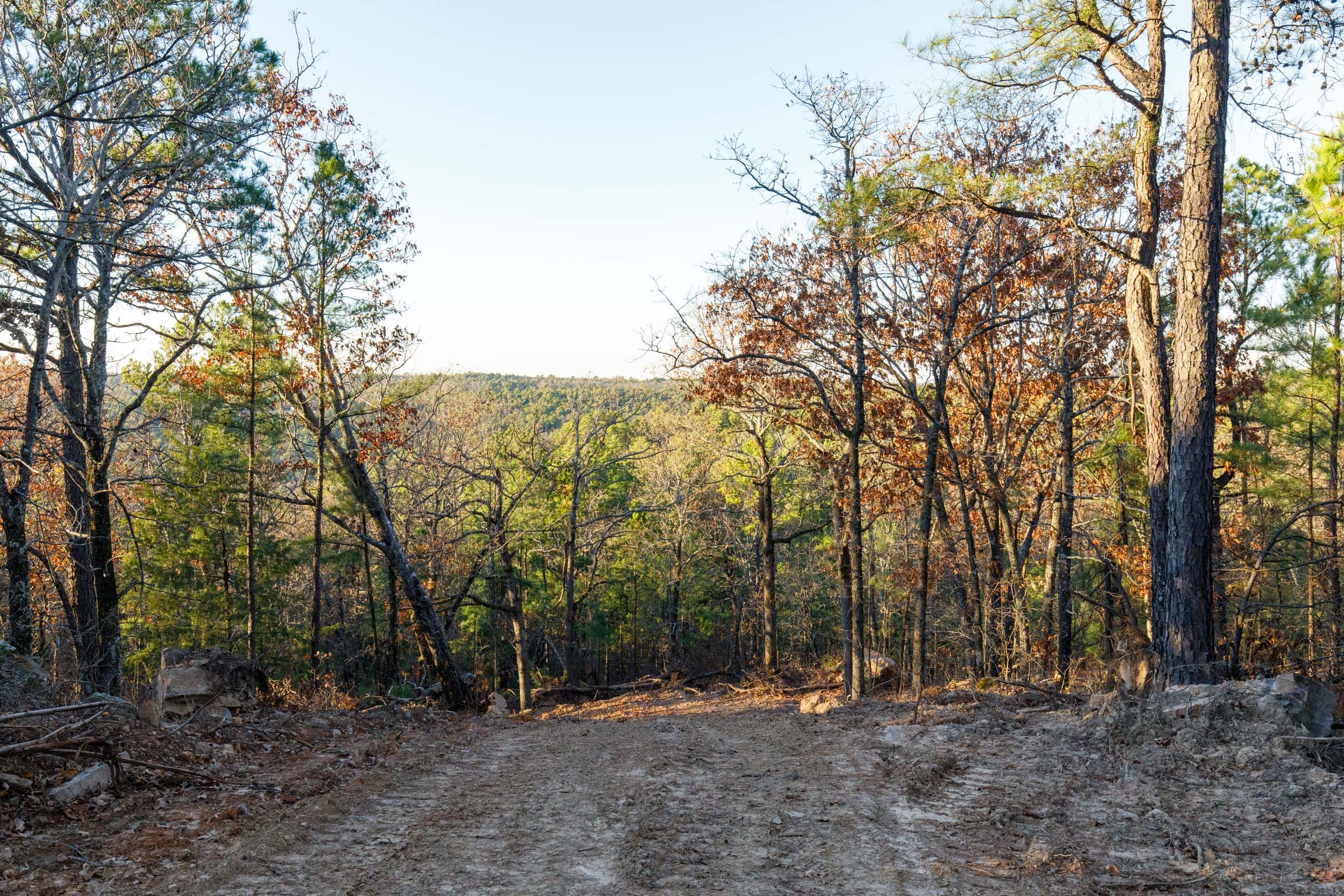 Stone Bridge Phase II Tract 90 photo 7