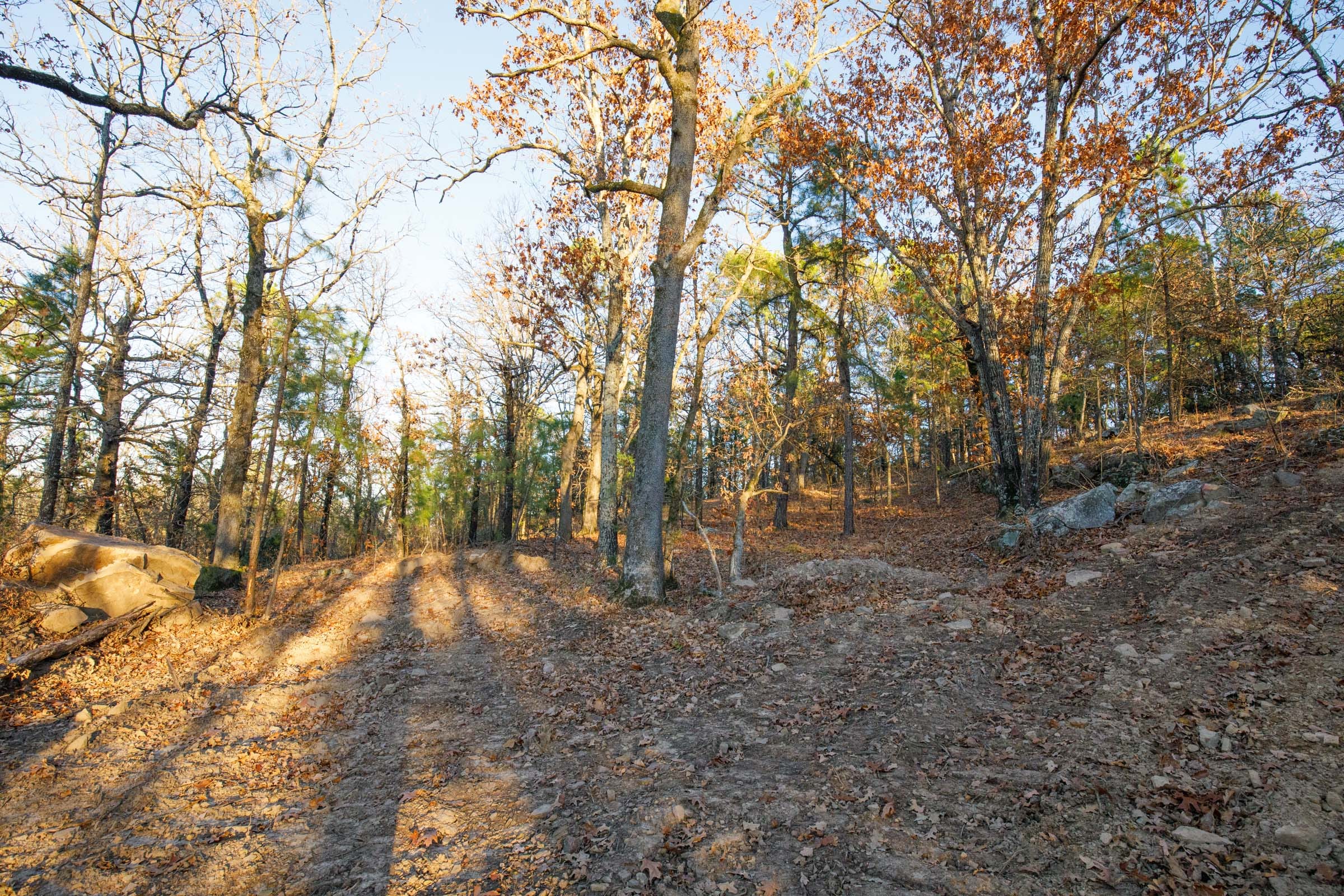 Stone Bridge Phase II Tract 90 photo 8