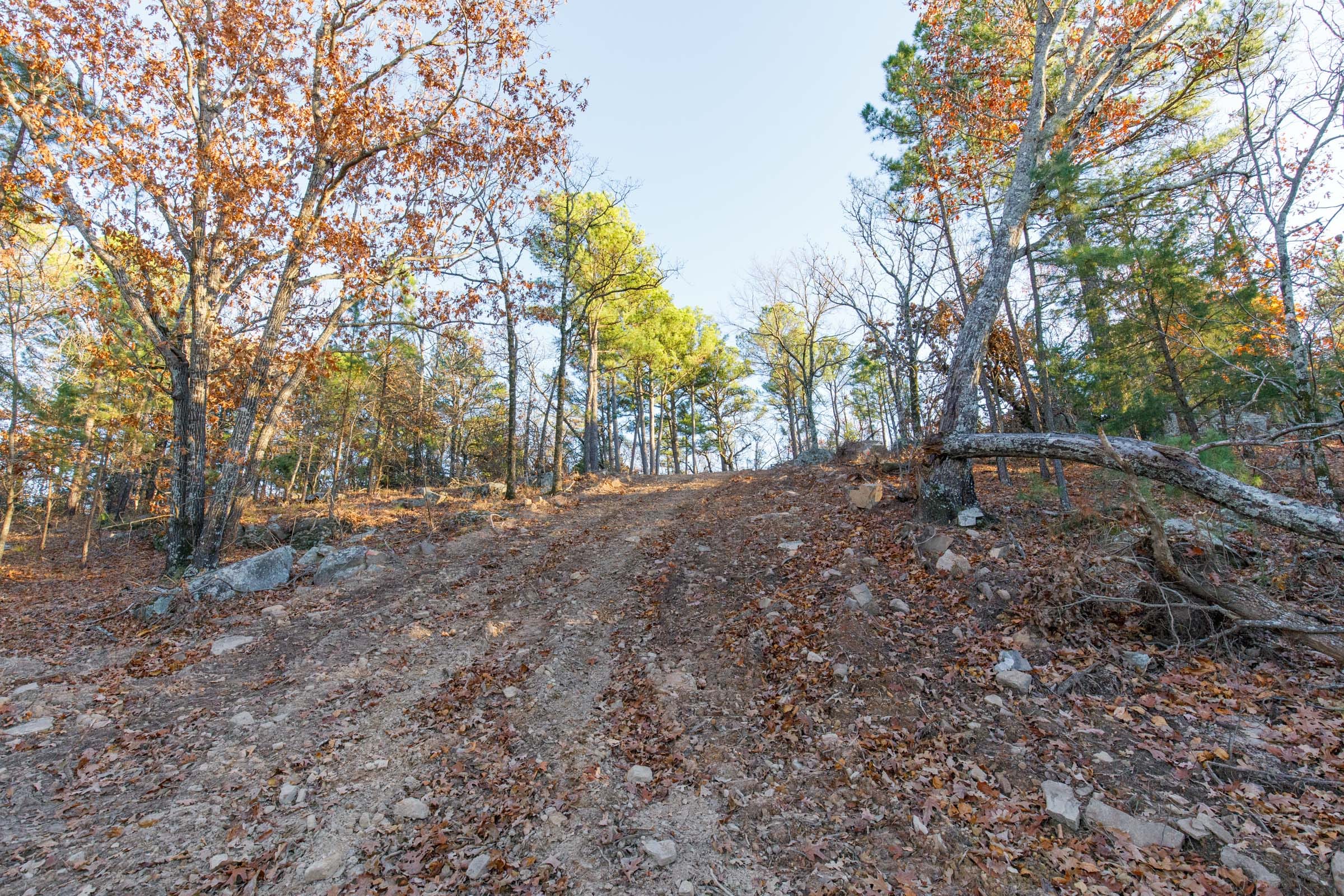 Stone Bridge Phase II Tract 90 photo 9