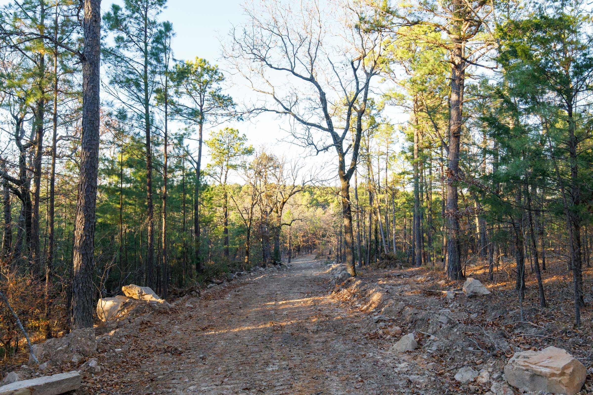 Stone Bridge Phase II Tract 90 photo 10