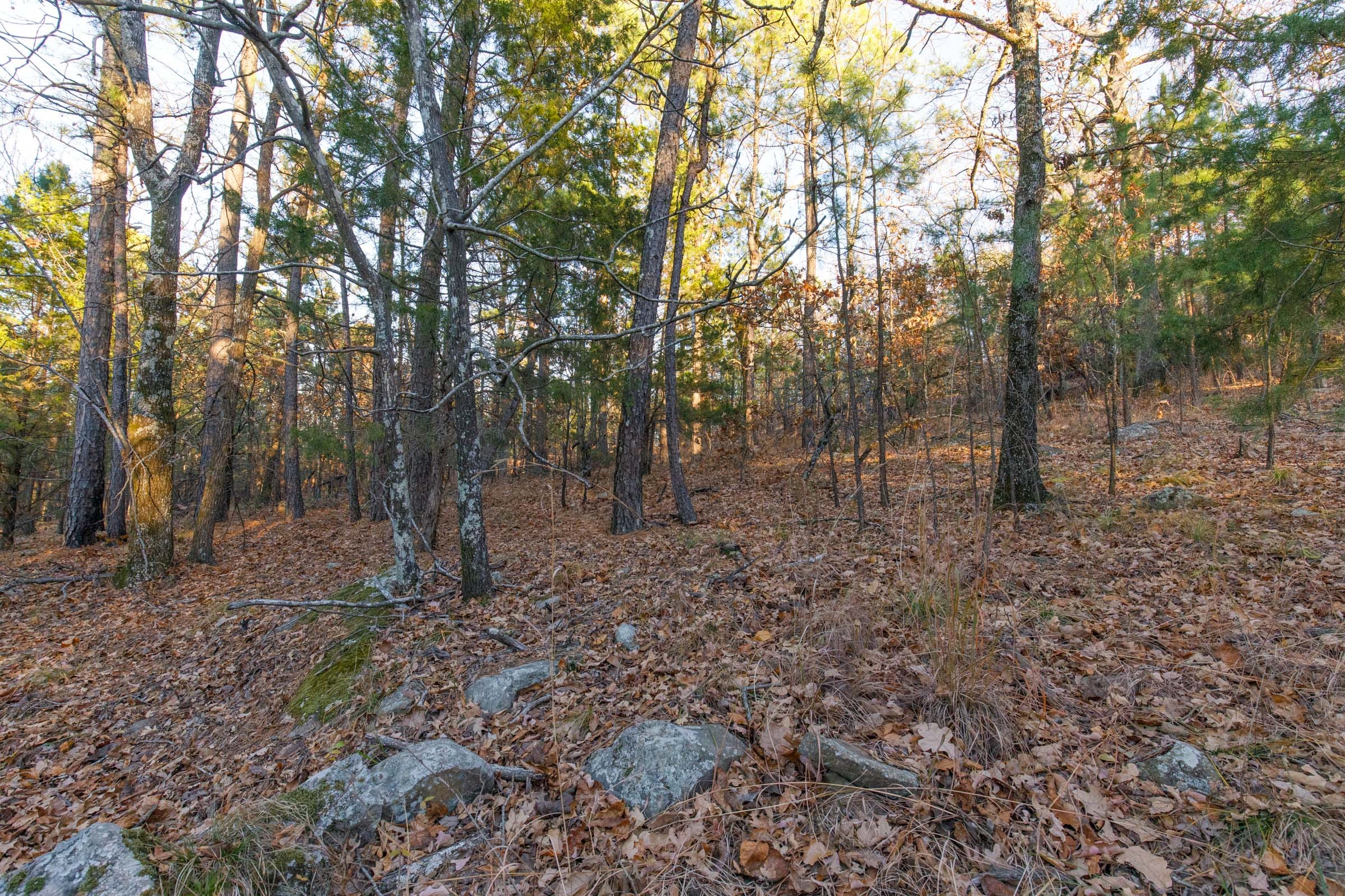 Stone Bridge Phase II Tract 90 photo 11
