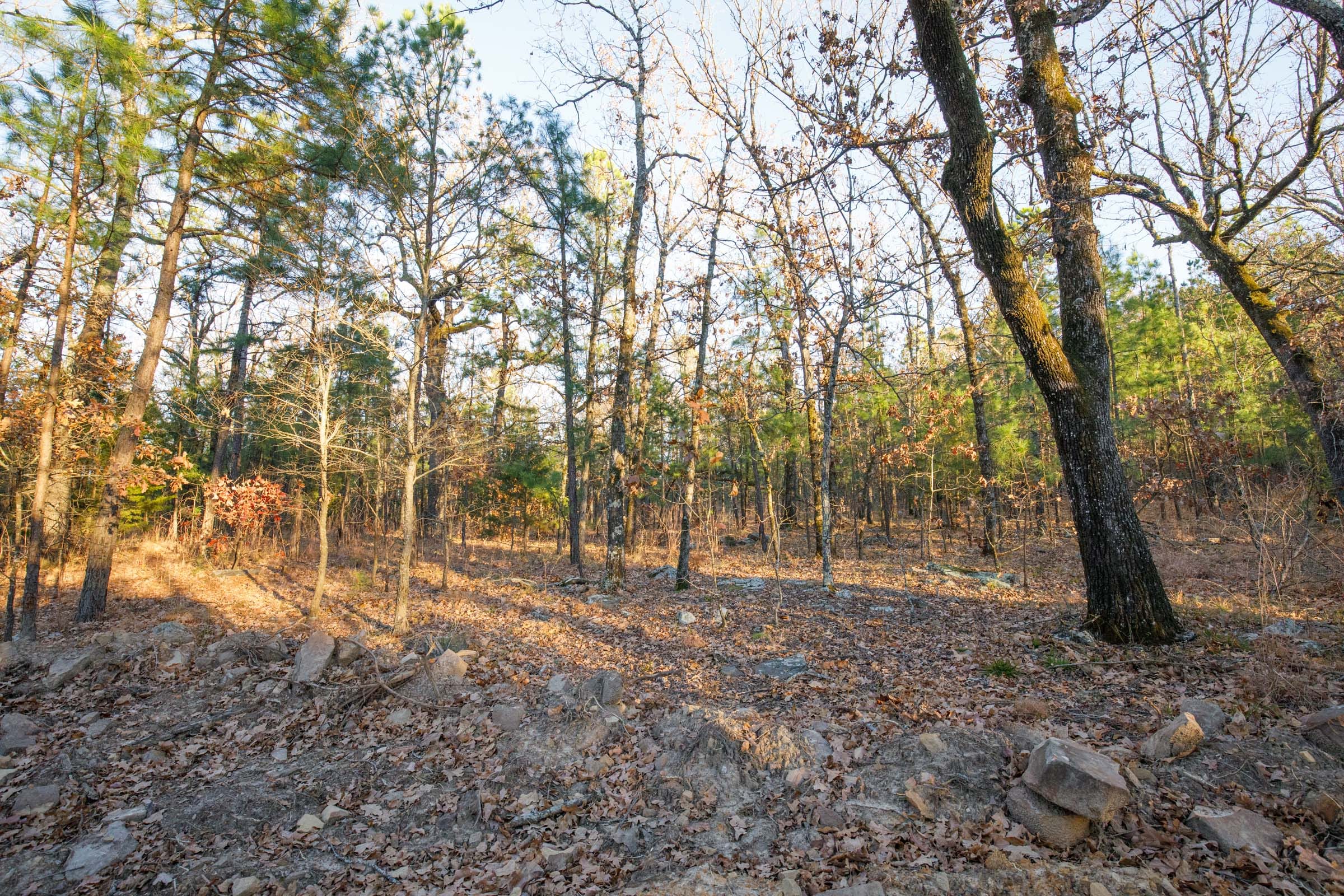 Stone Bridge Phase II Tract 90 photo 12