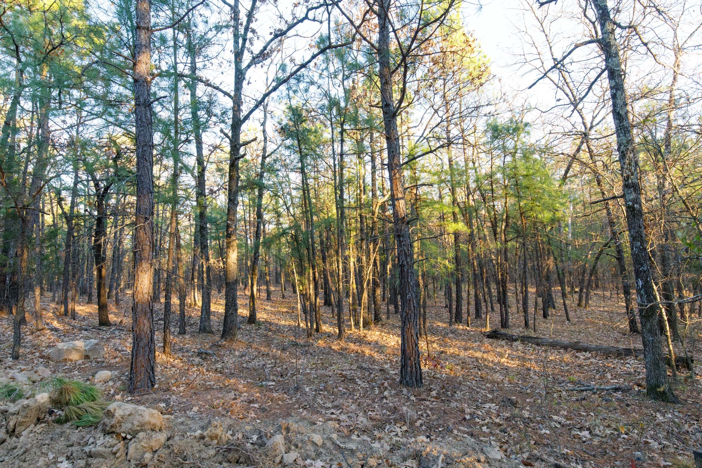 Stone Bridge Phase II Tract 90 photo 13