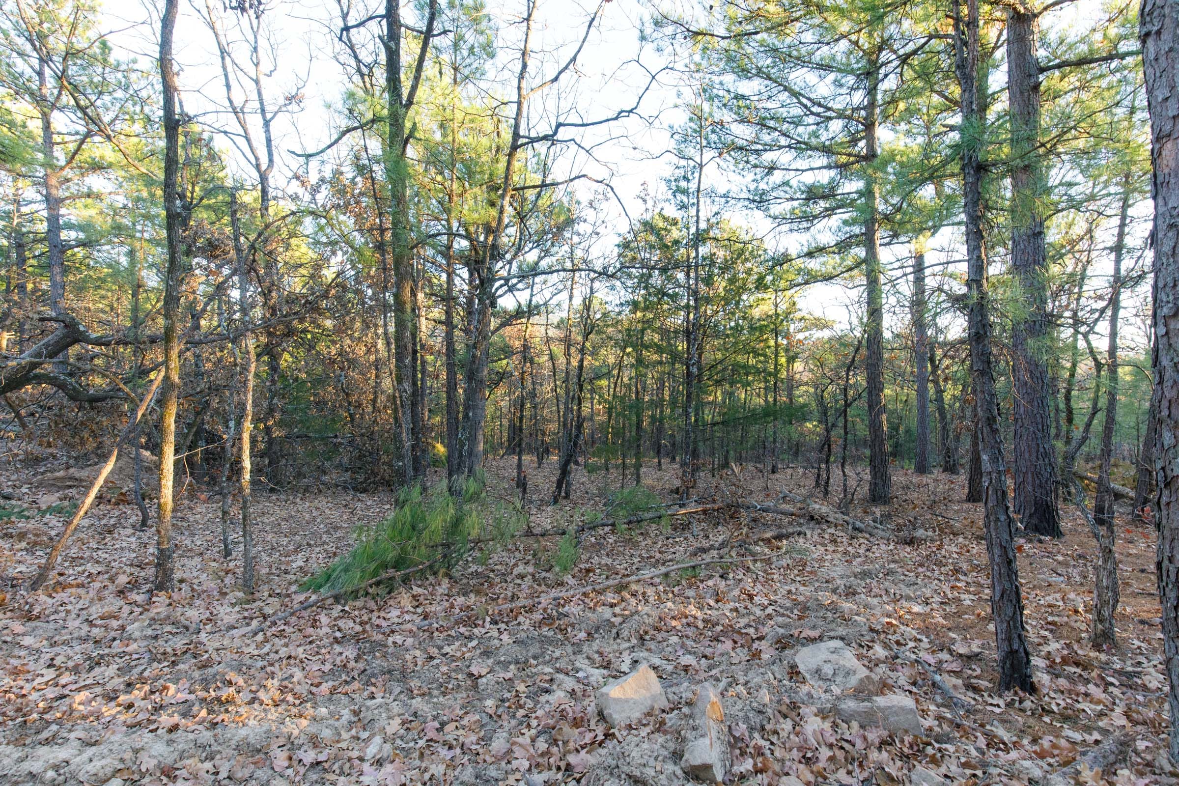 Stone Bridge Phase II Tract 90 photo 14