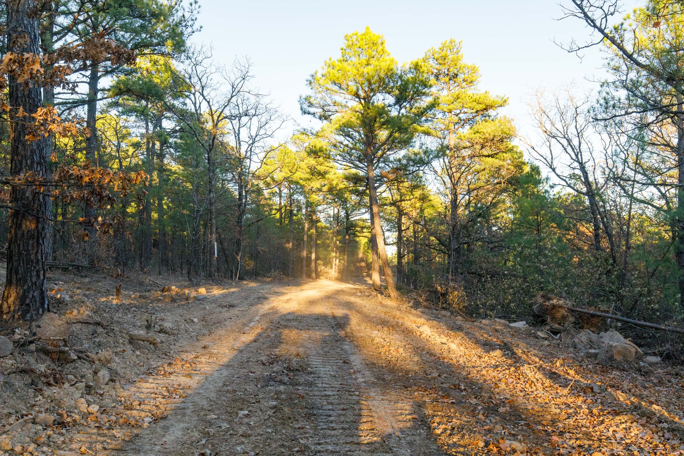 Stone Bridge Phase II Tract 90 photo 15