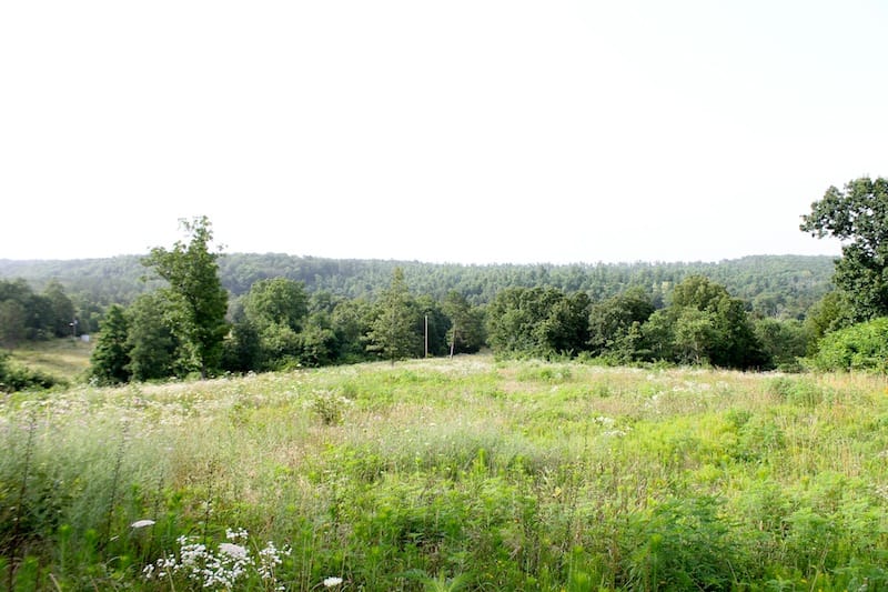 Green Mountain Ranch Tract 3 photo 2