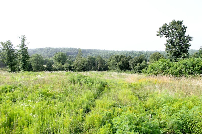 Green Mountain Ranch Tract 3 photo 3