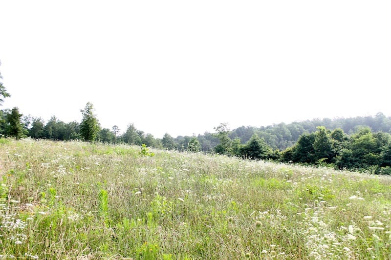 Green Mountain Ranch Tract 3 photo 6
