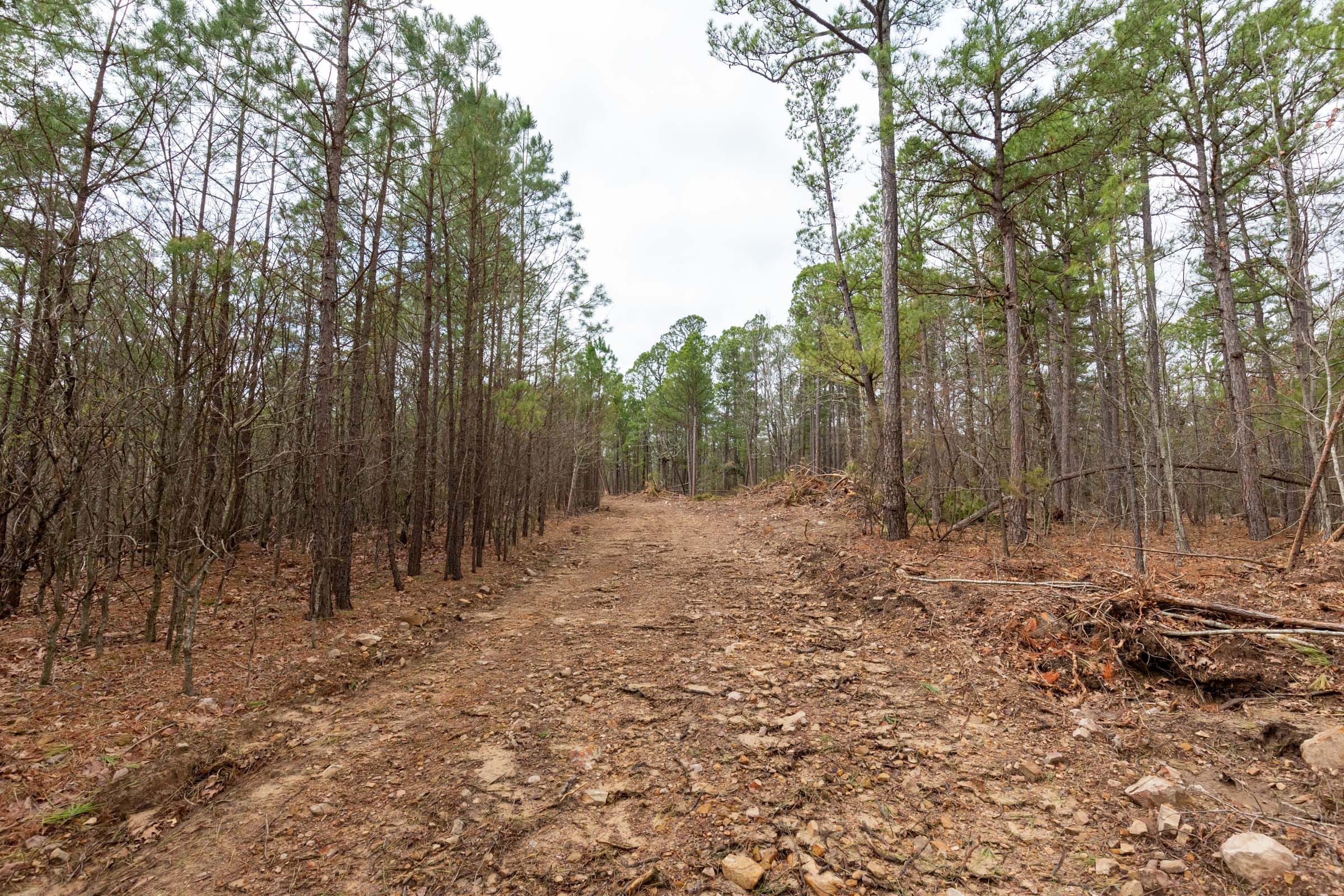 Stone Bridge Phase III Tract 189 photo 2