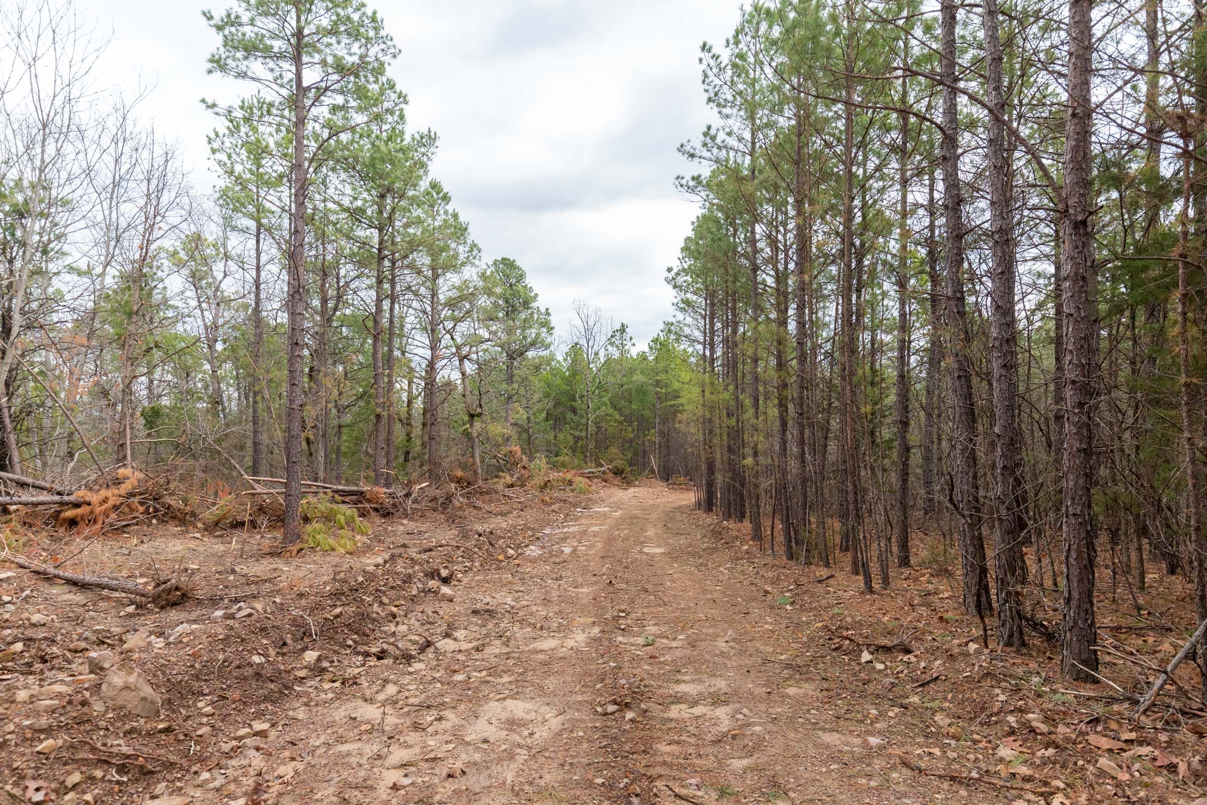 Stone Bridge Phase III Tract 189 photo 1