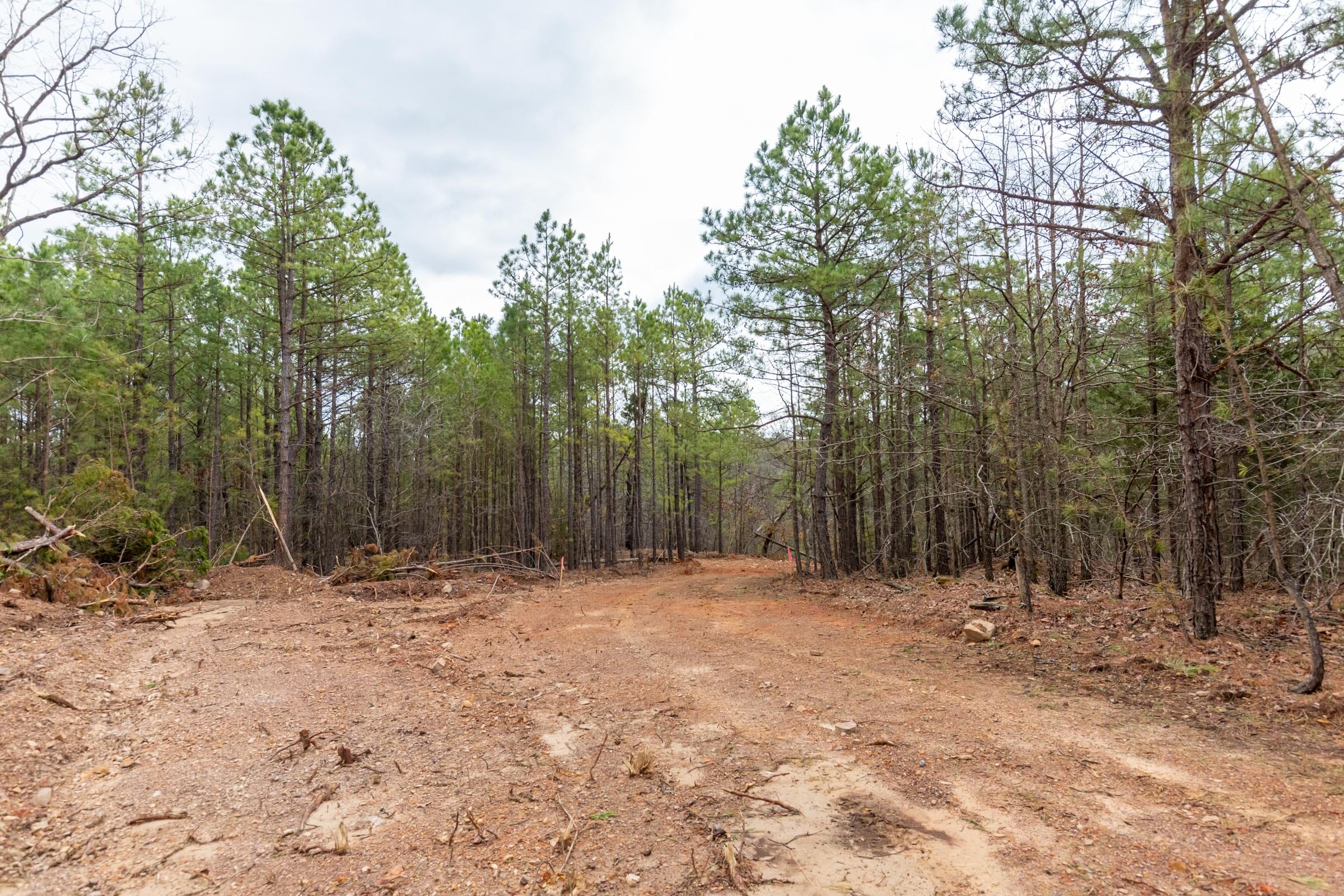 Stone Bridge Phase III Tract 189 photo 7
