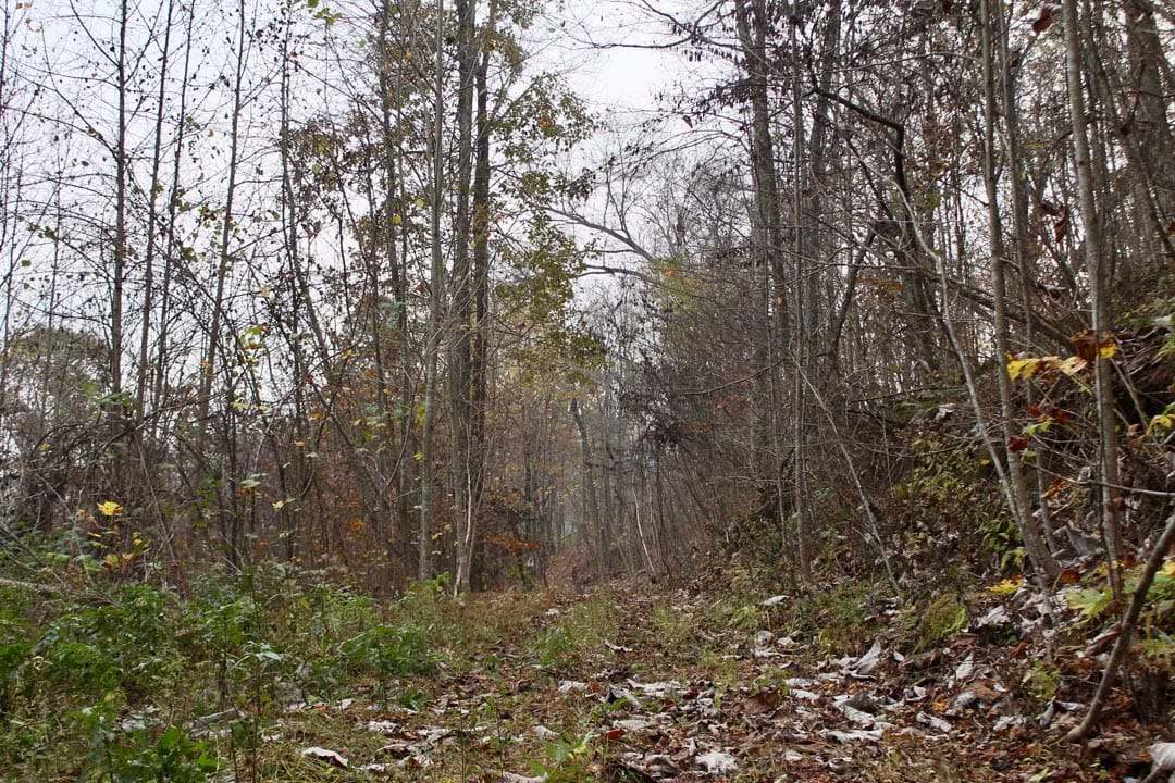 Autumn Ridge Tract 12 photo 1