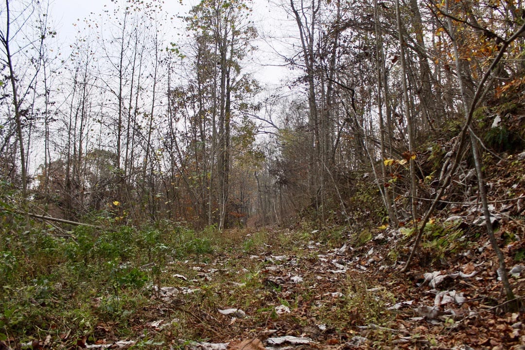 Autumn Ridge Tract 12 photo 2