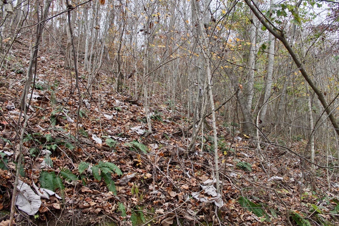 Autumn Ridge Tract 12 photo 3