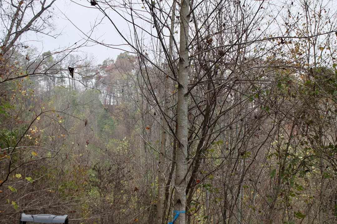Autumn Ridge Tract 12 photo 6