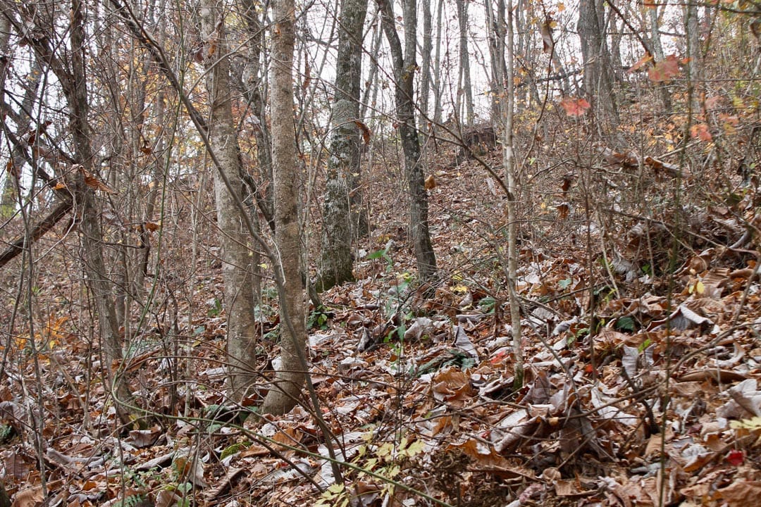 Autumn Ridge Tract 12 photo 8