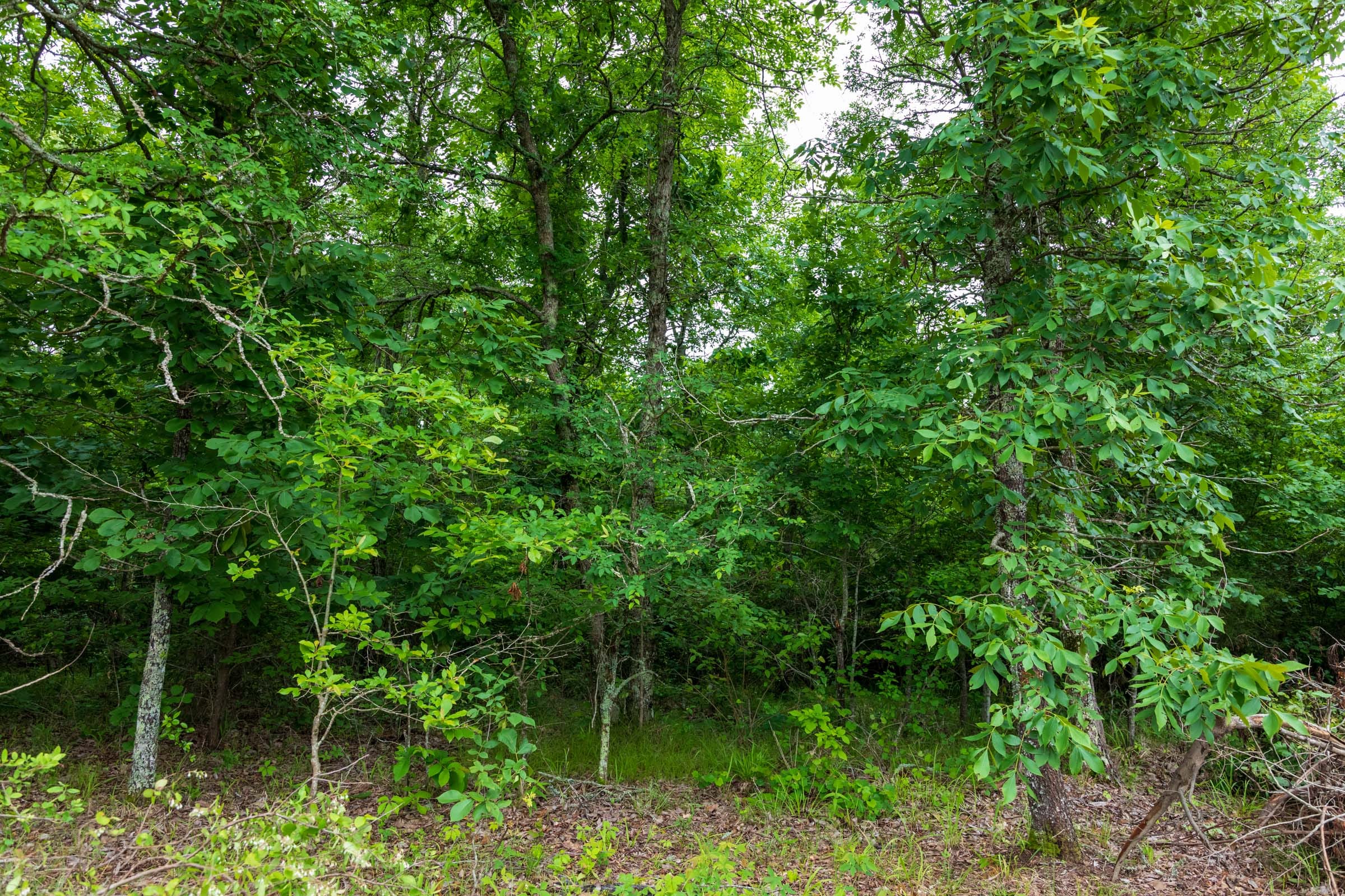 Falcon Crest Tract 7 photo 2