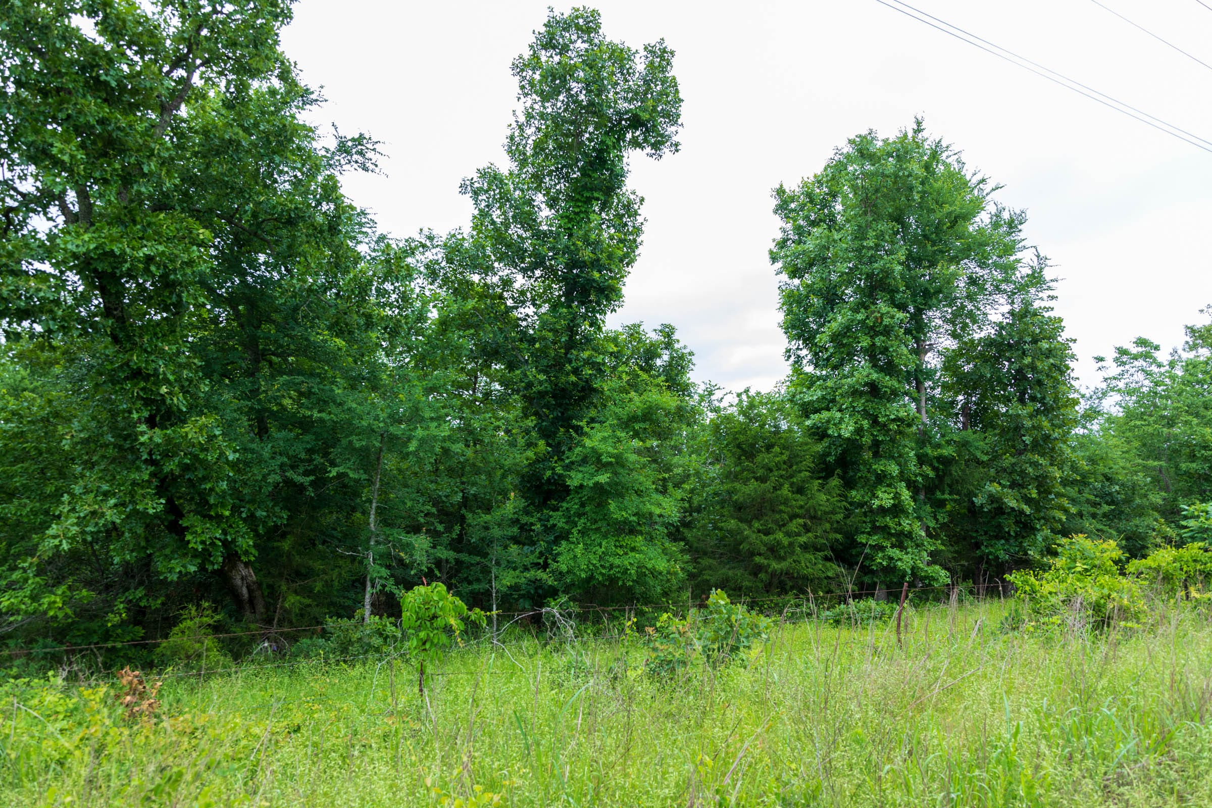 Falcon Crest Tract 7 photo 6