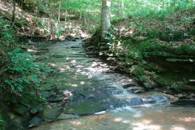 Sugartree Falls Tract 50 photo 8