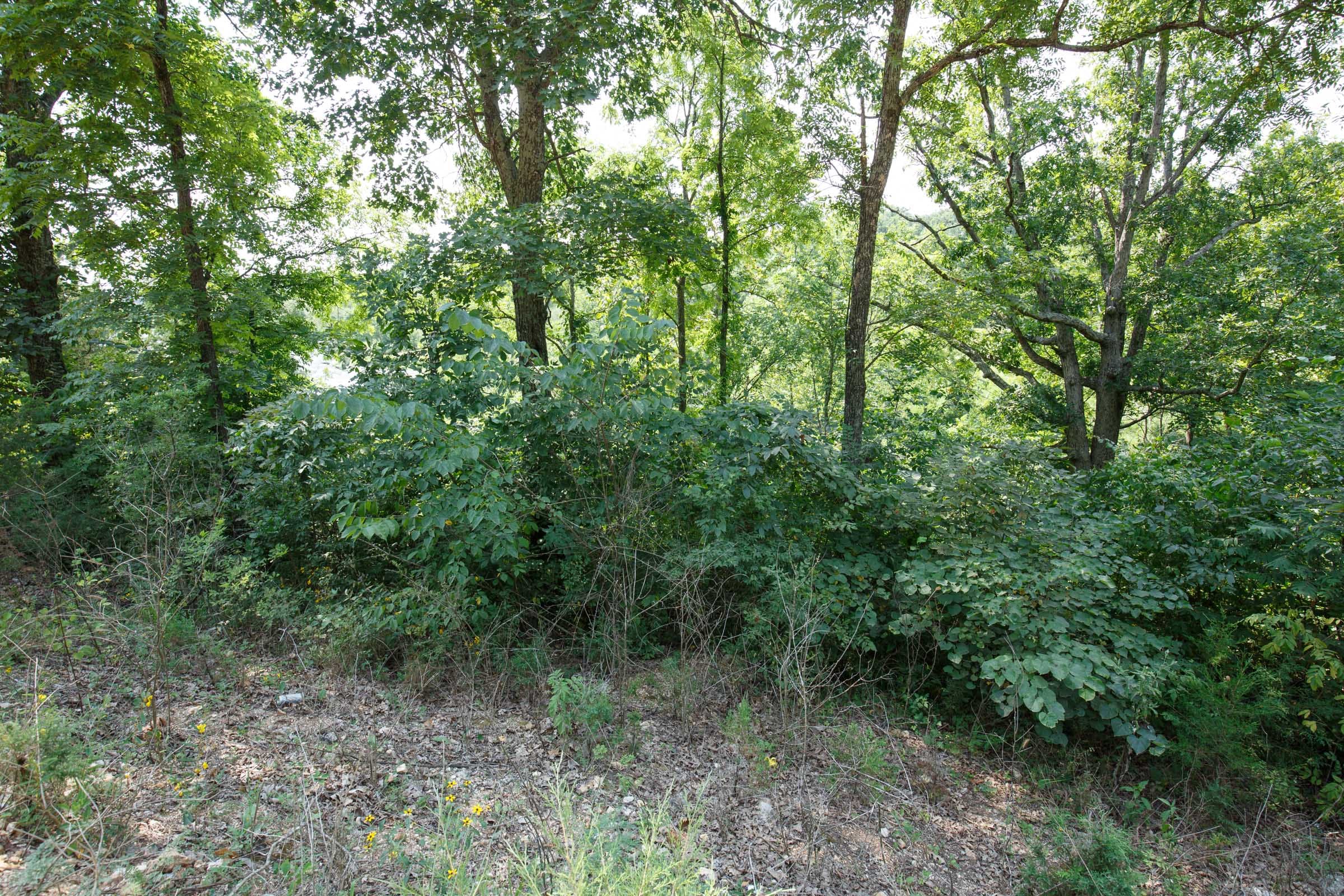 Spring Lake Plat 6 Tract 121 photo 4