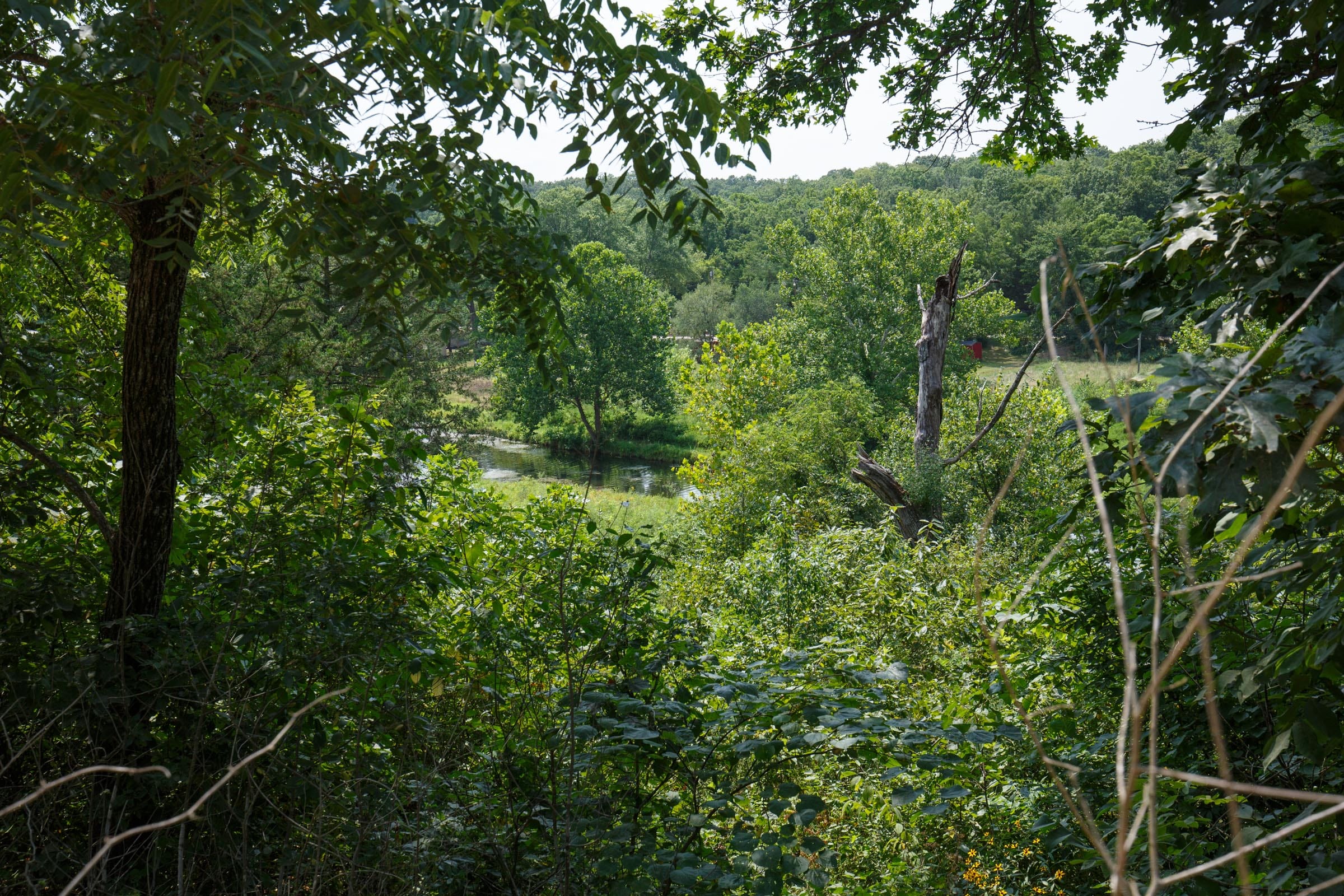 Spring Lake Plat 6 Tract 121 photo 7