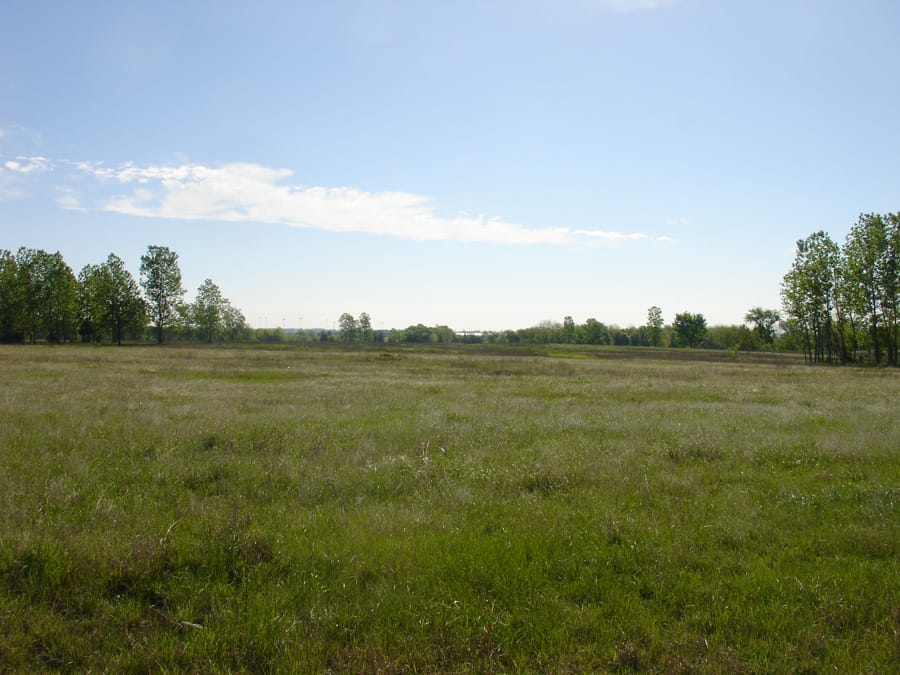 Red River Ranch Tract 6 photo 5