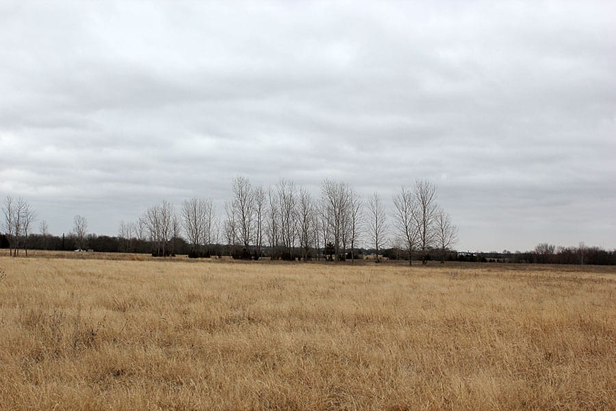 Red River Ranch Tract 6 photo 10