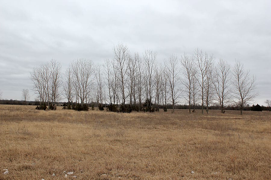 Red River Ranch Tract 6 photo 11