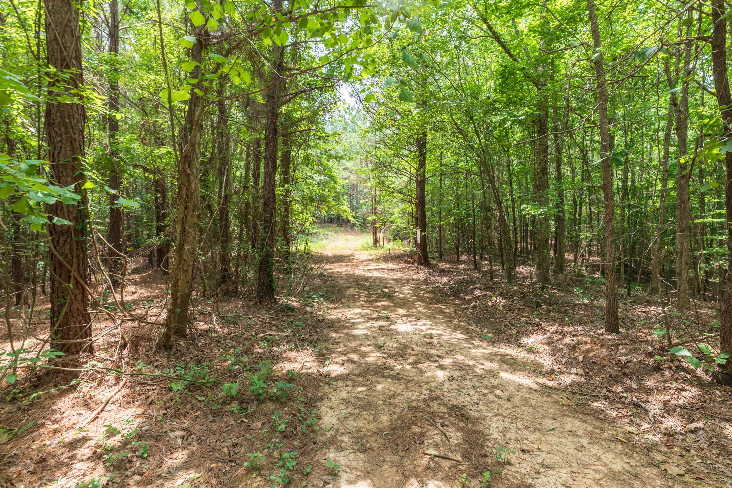 Whiskey Ridge Tract 28 photo 2