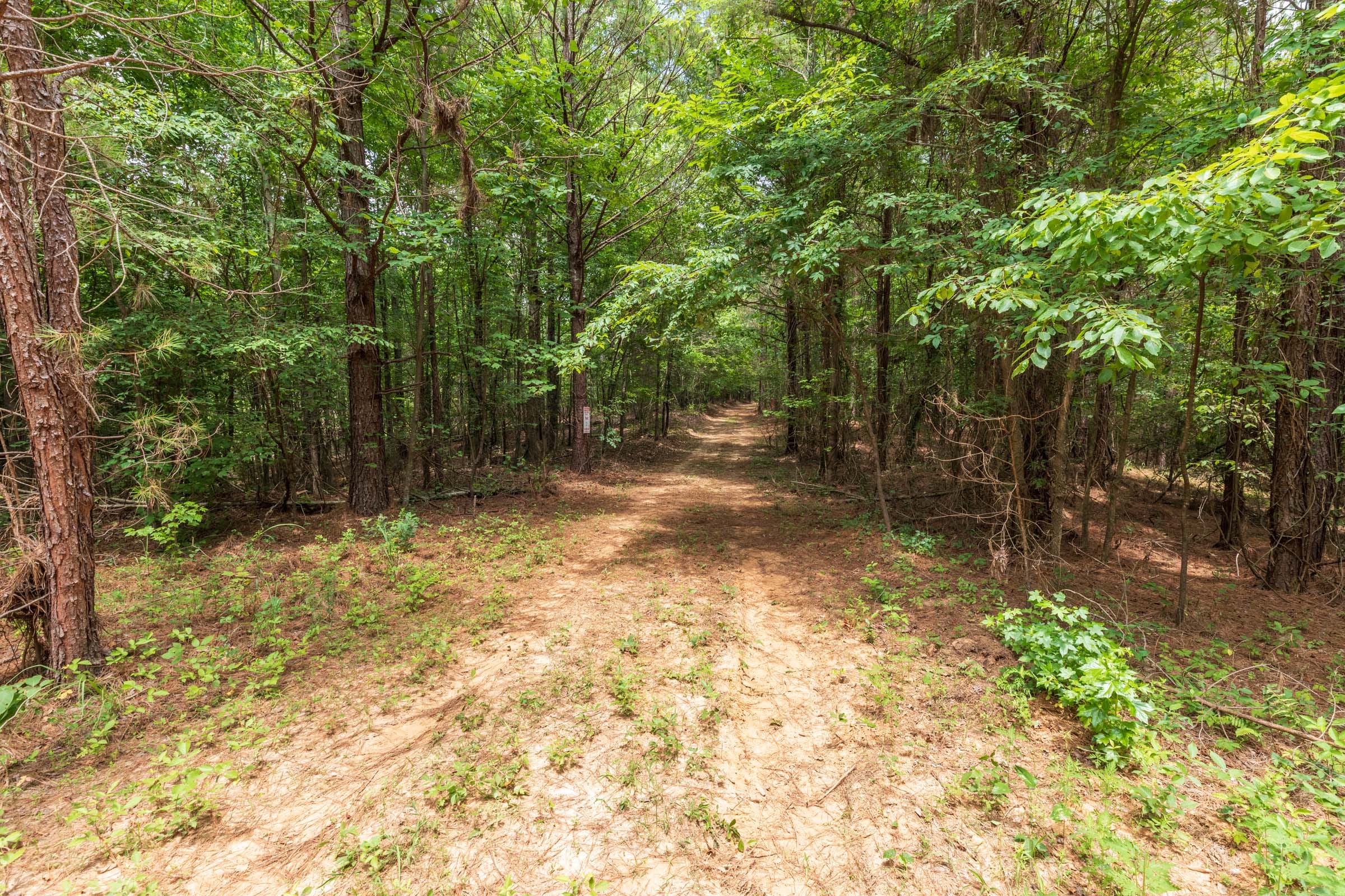 Whiskey Ridge Tract 28 photo 6