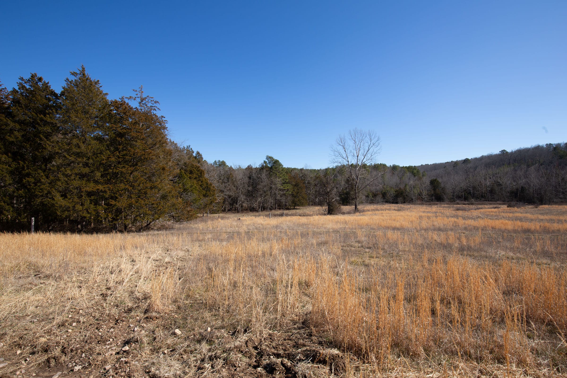 O’Connor Crossing Tract 19 photo 3