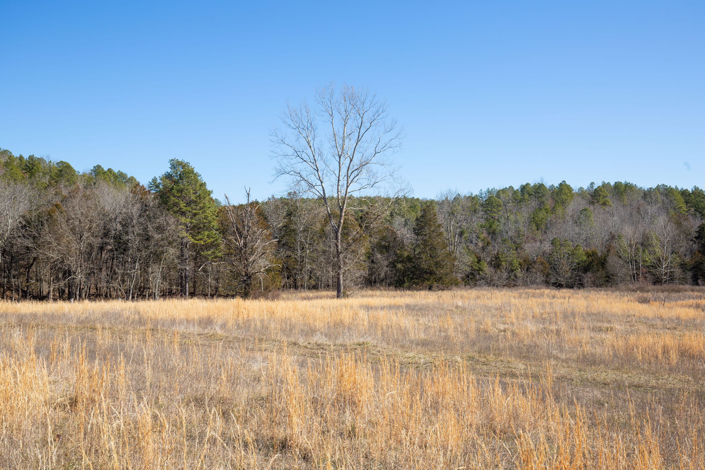 O’Connor Crossing Tract 19 photo 5