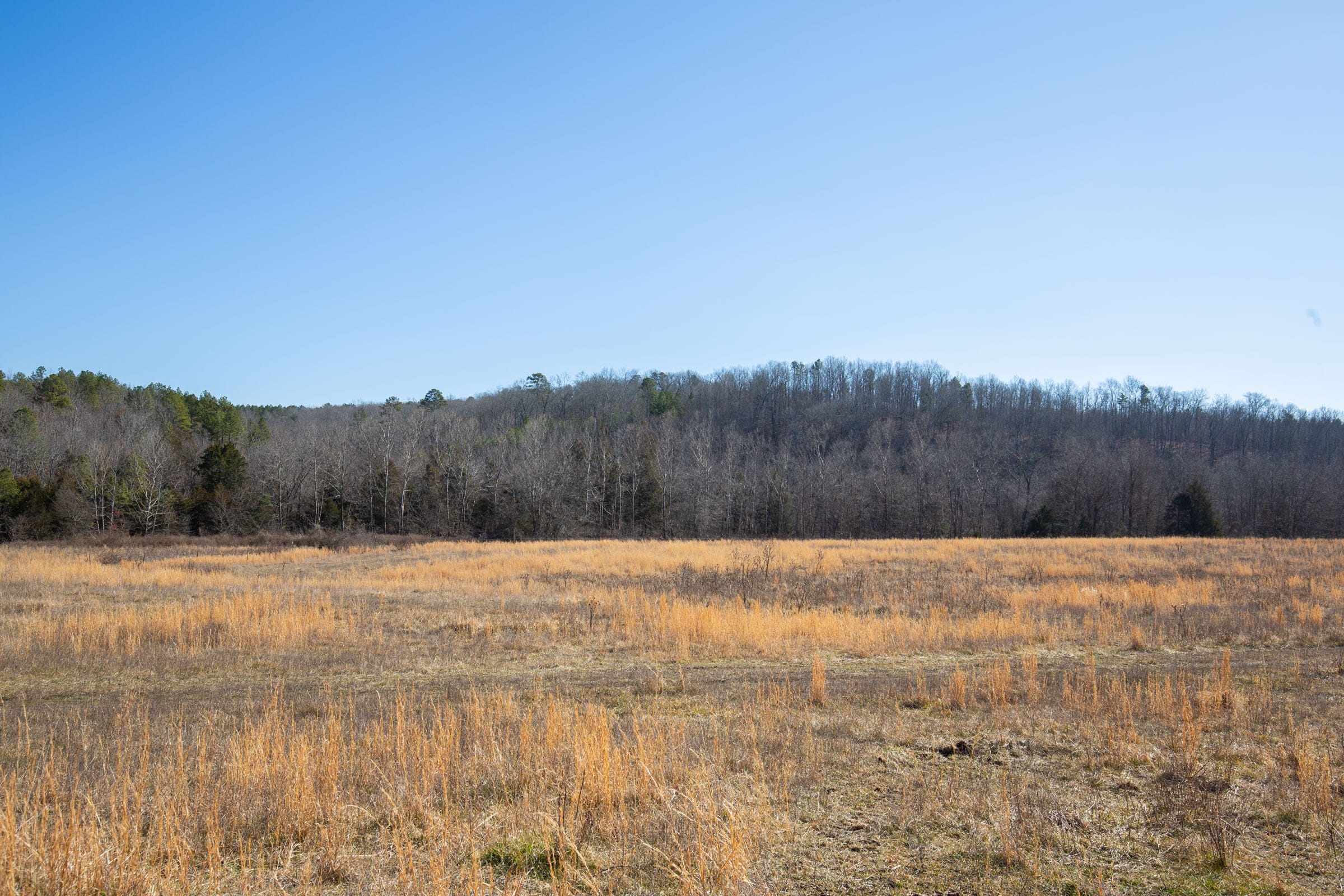O’Connor Crossing Tract 19 photo 8