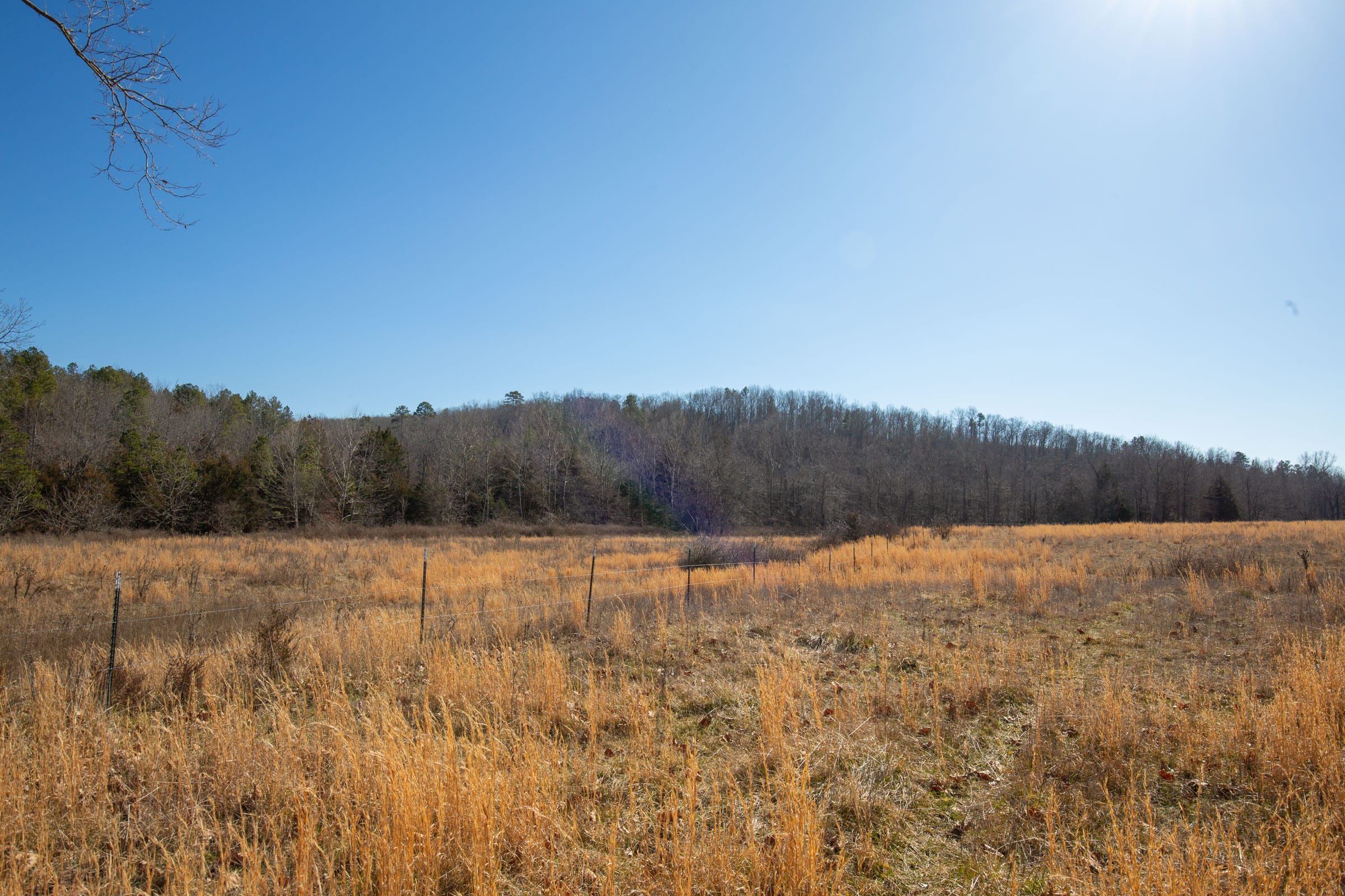 O’Connor Crossing Tract 19 photo 9