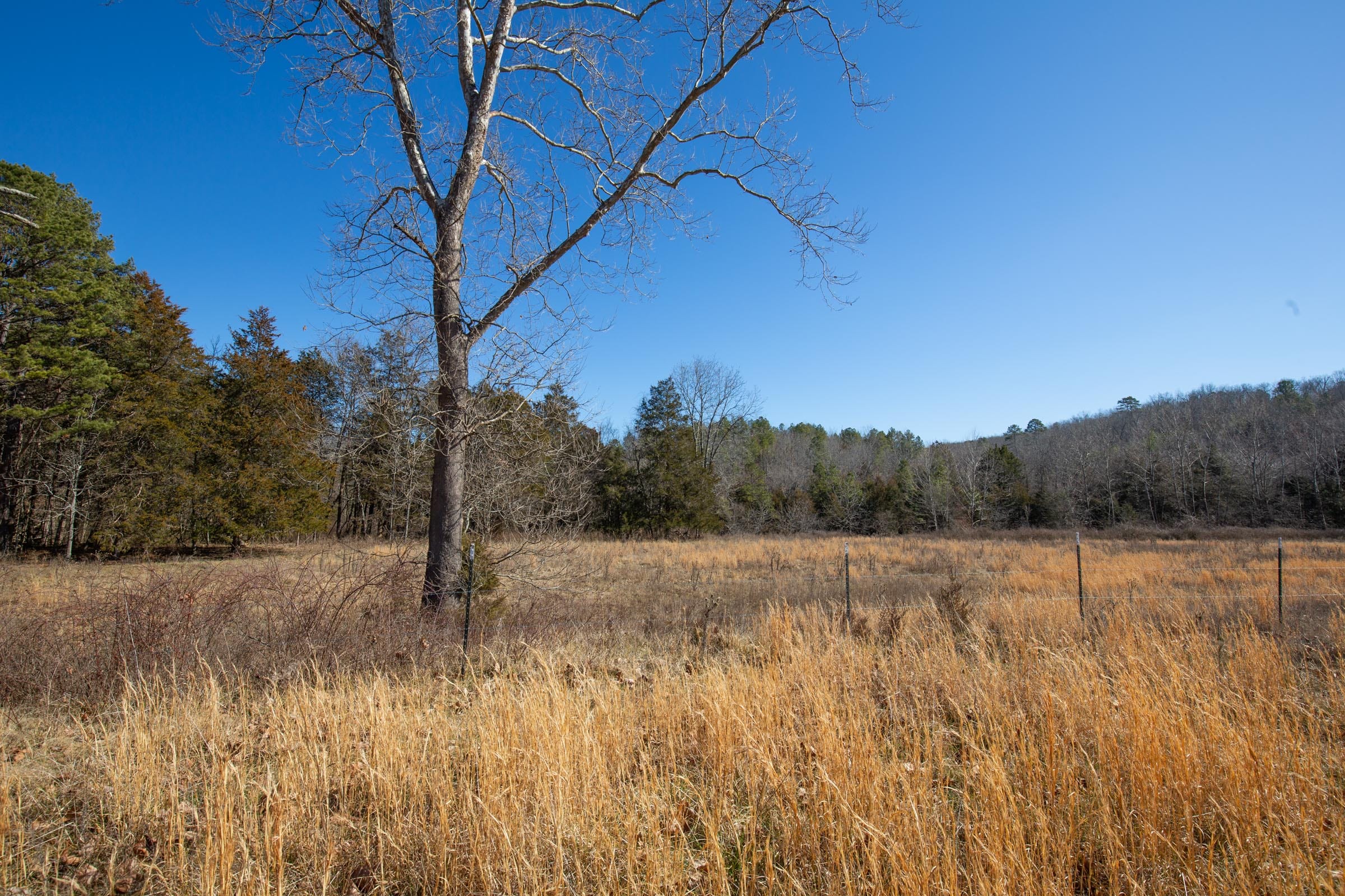 O’Connor Crossing Tract 19 photo 7