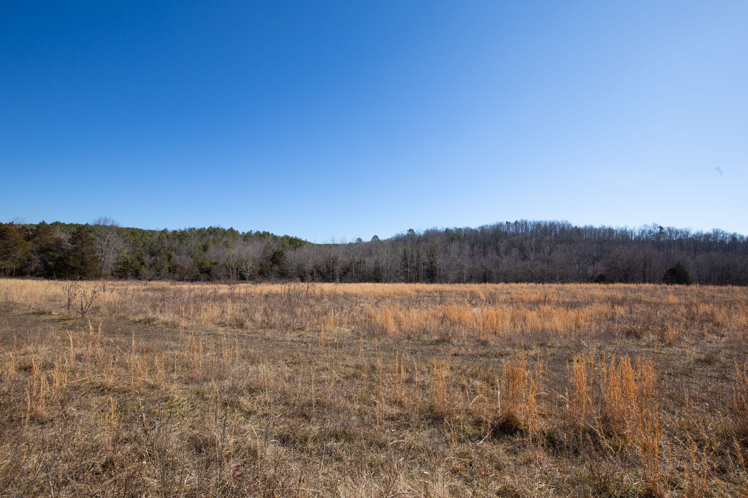 O’Connor Crossing Tract 19 photo 10