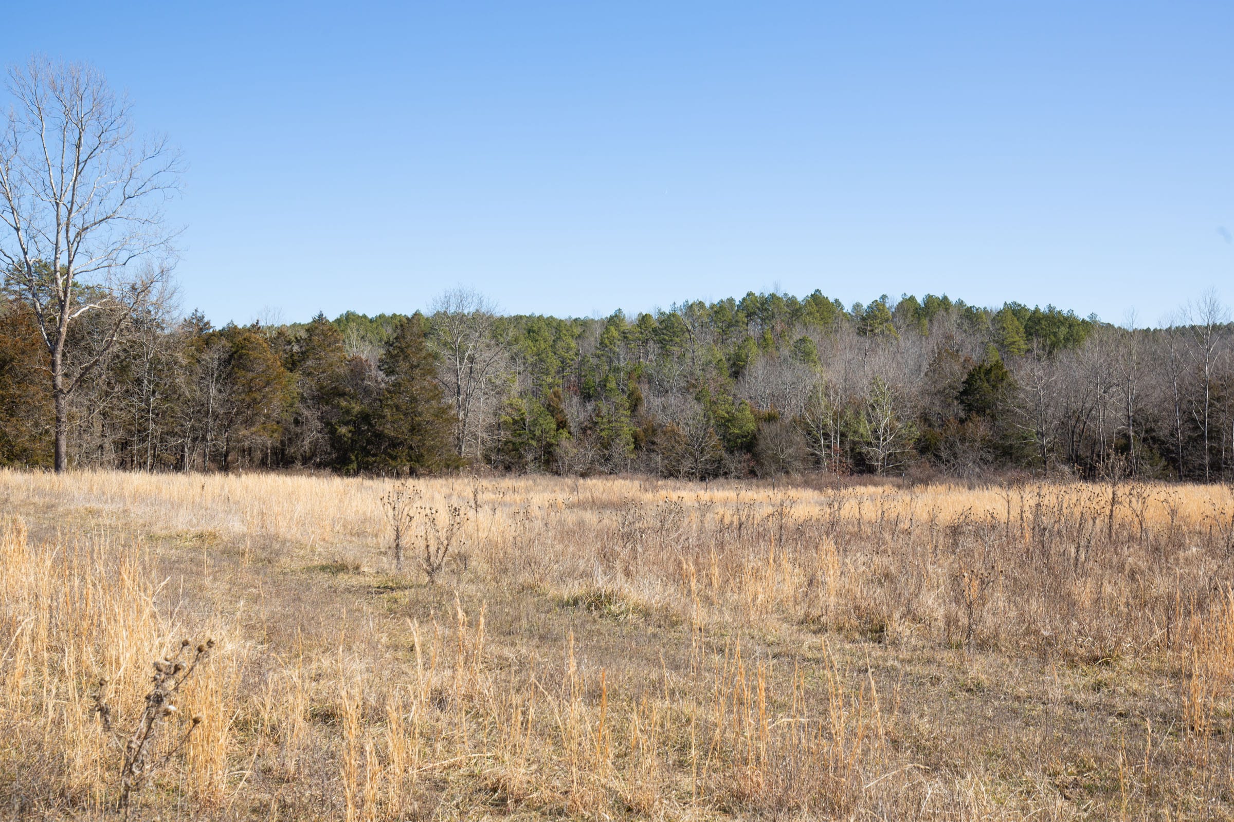 O’Connor Crossing Tract 19 photo 11