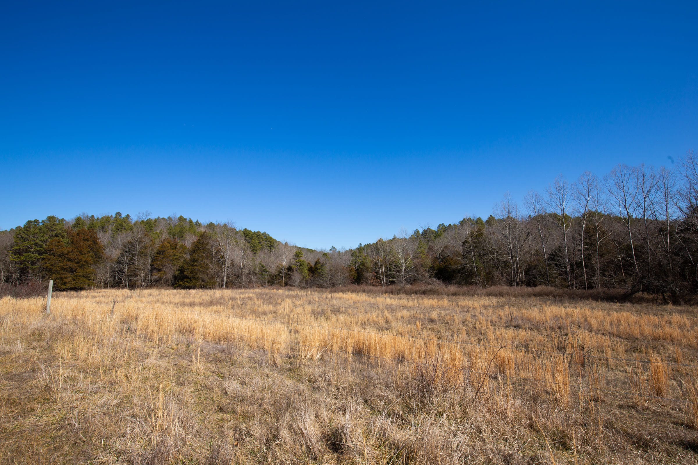 O’Connor Crossing Tract 19 photo 12