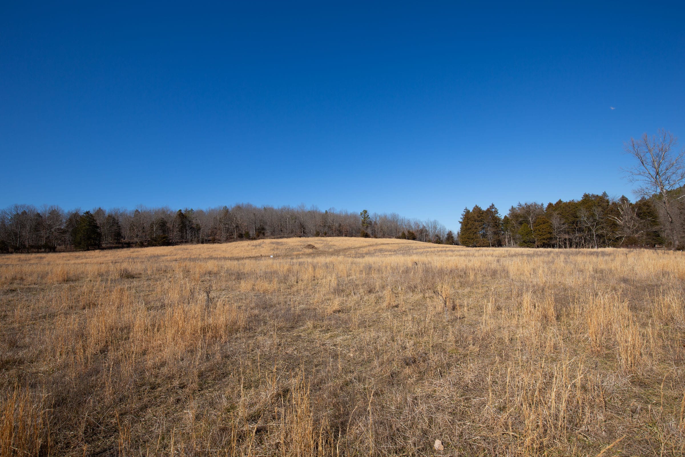 O’Connor Crossing Tract 19 photo 13