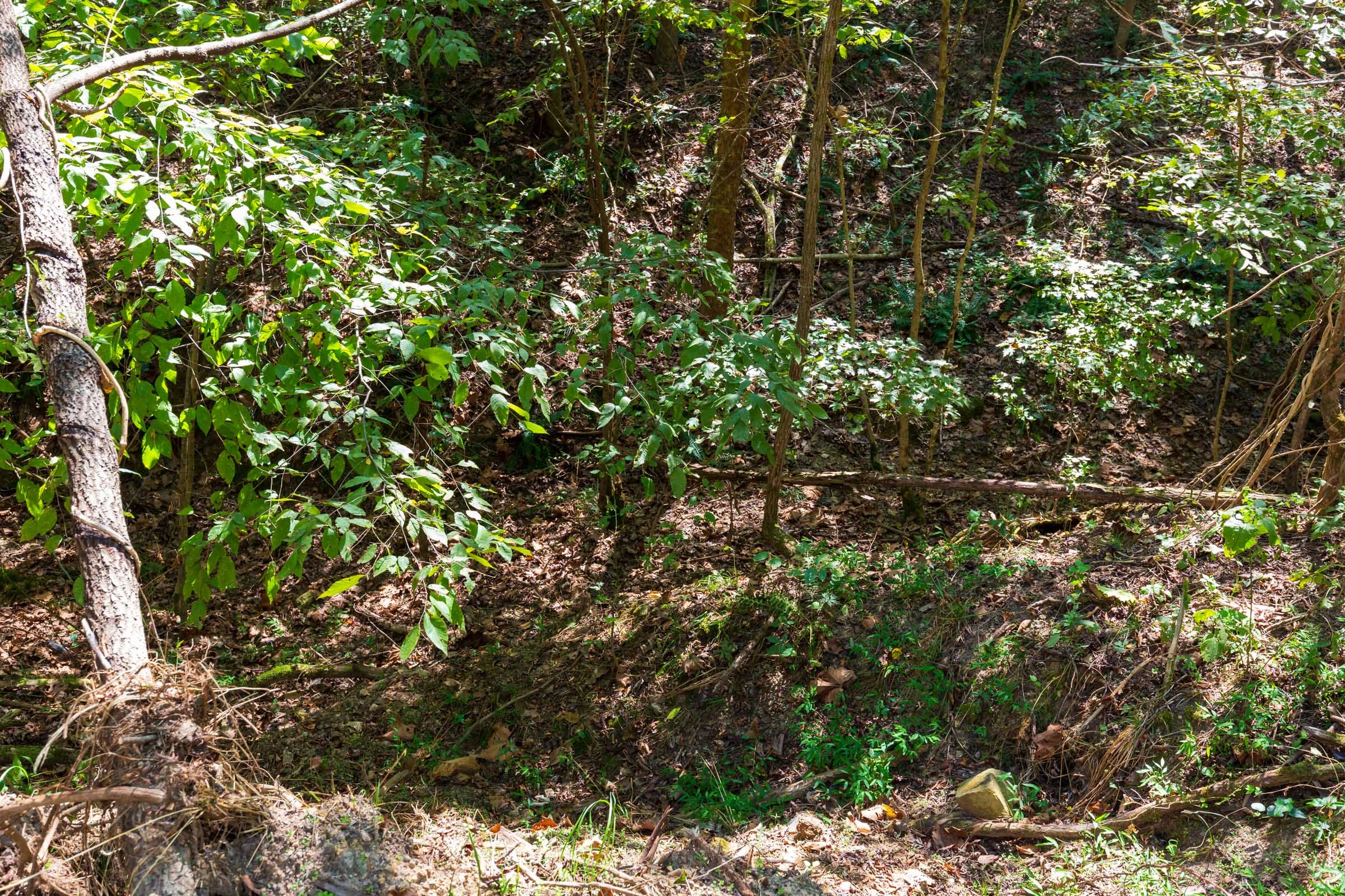 Redemption Ridge Tract 16 photo 2