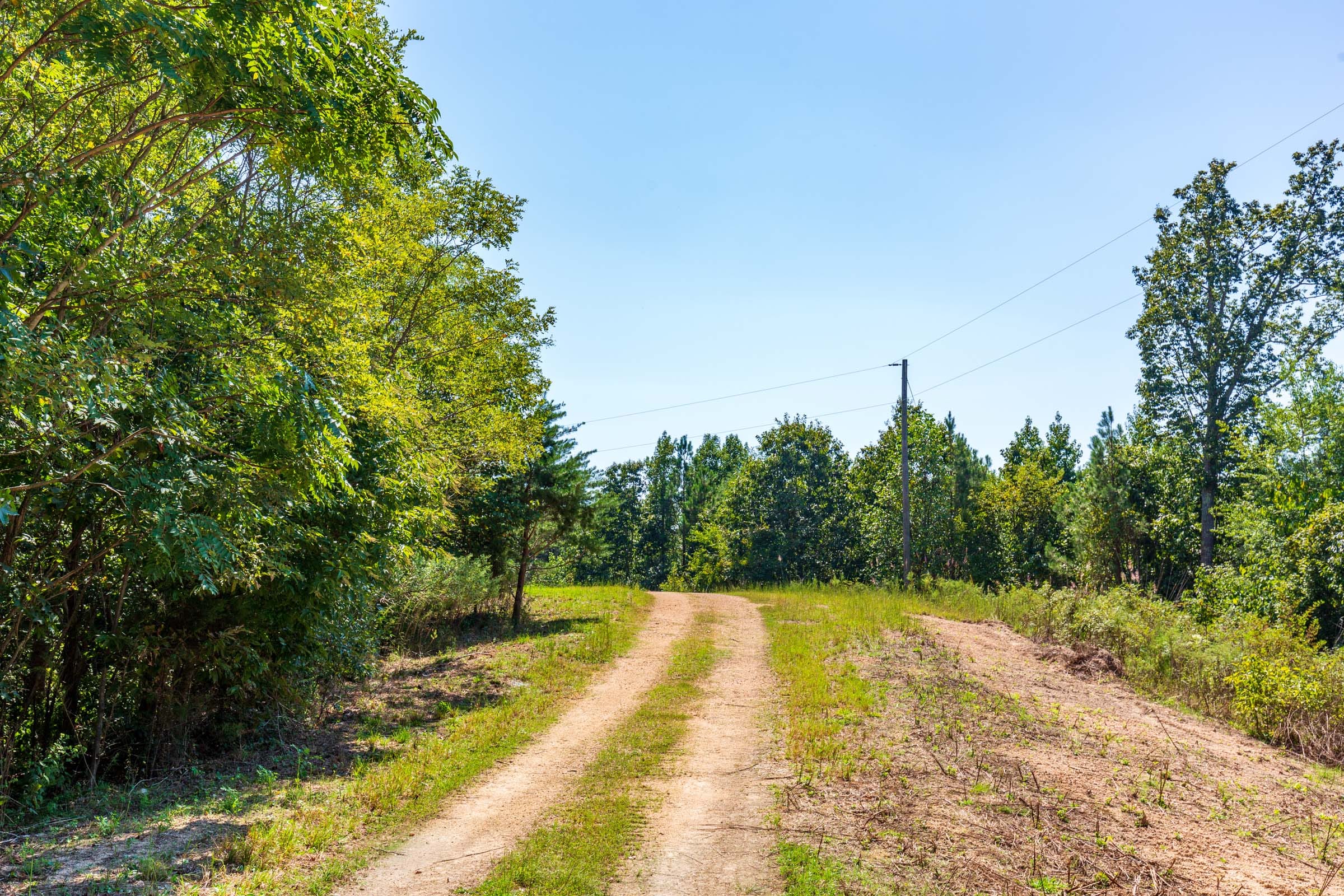 Redemption Ridge Tract 16 photo 9