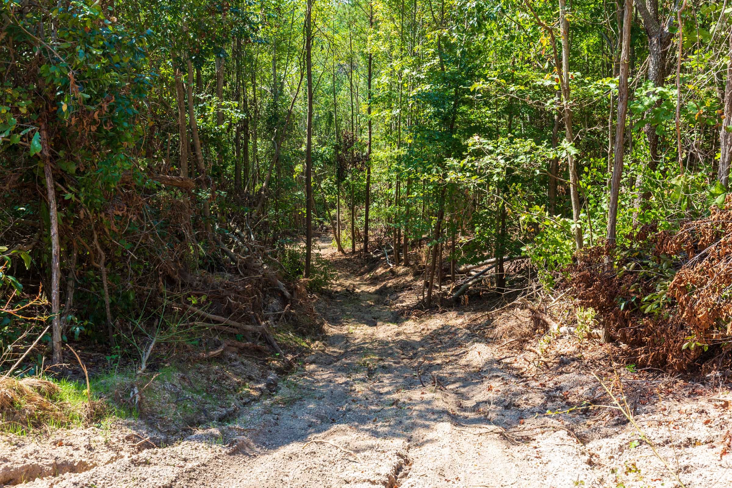 Redemption Ridge Tract 16 photo 7