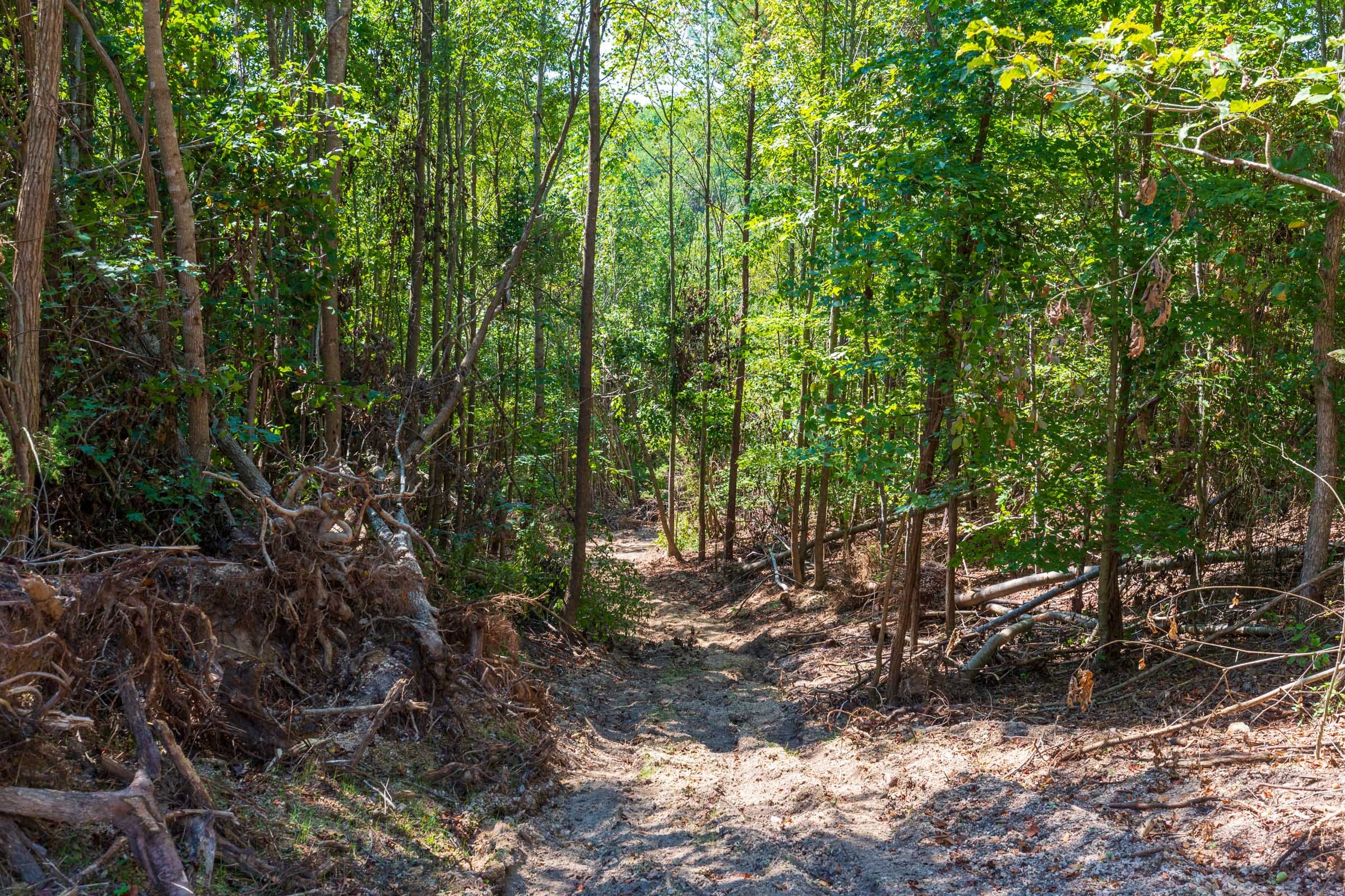Redemption Ridge Tract 16 photo 11