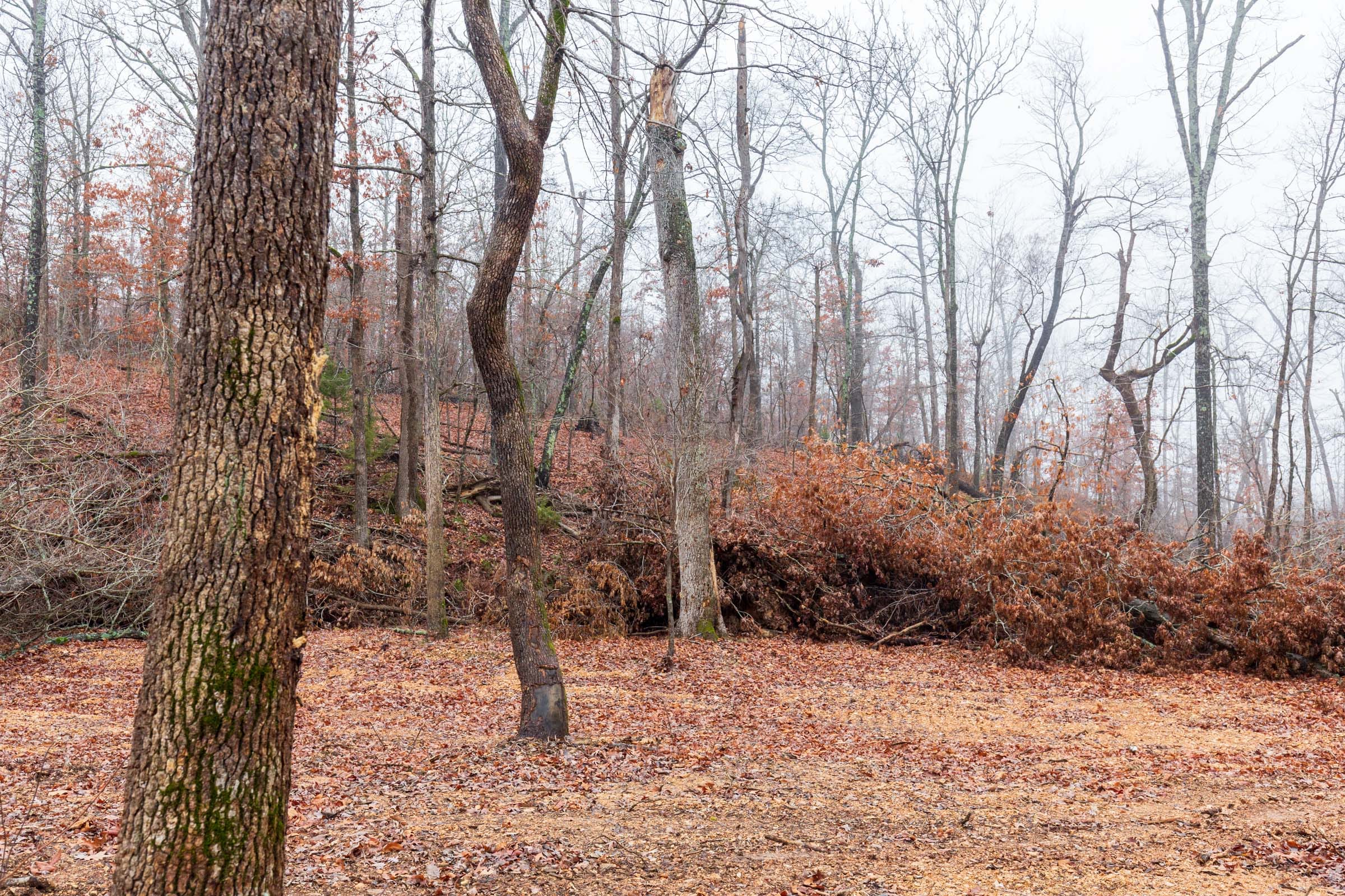 Carter’s Crossing Tract 11 photo 2