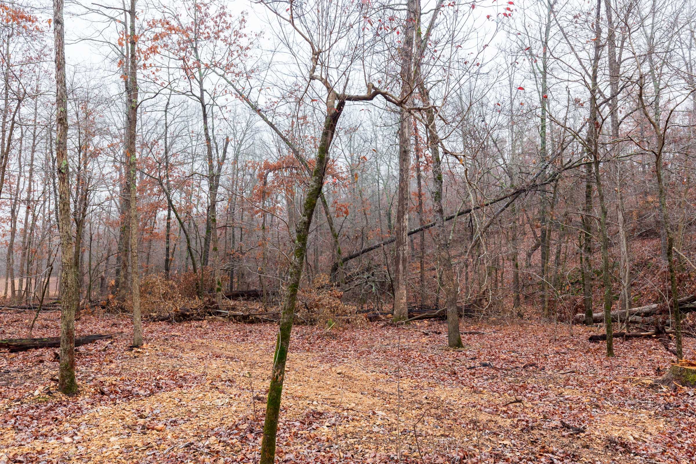 Carter’s Crossing Tract 11 photo 3