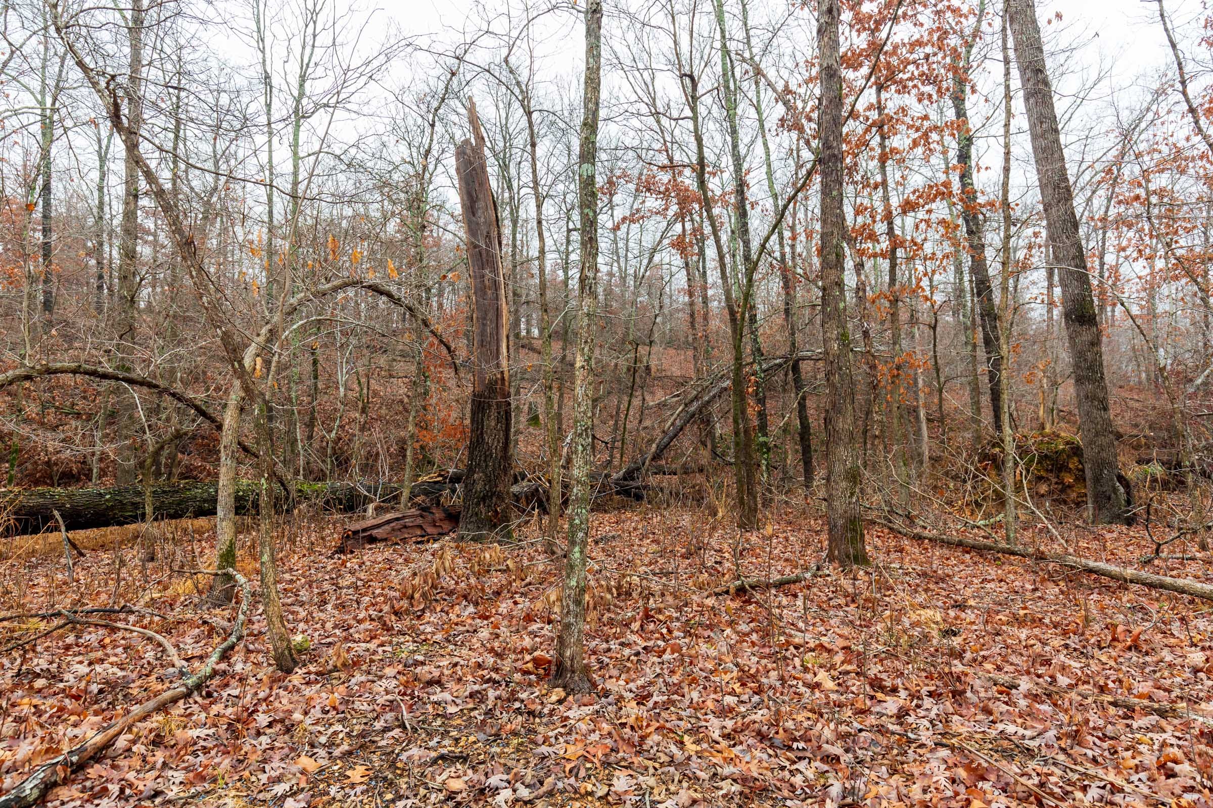 Carter’s Crossing Tract 11 photo 5