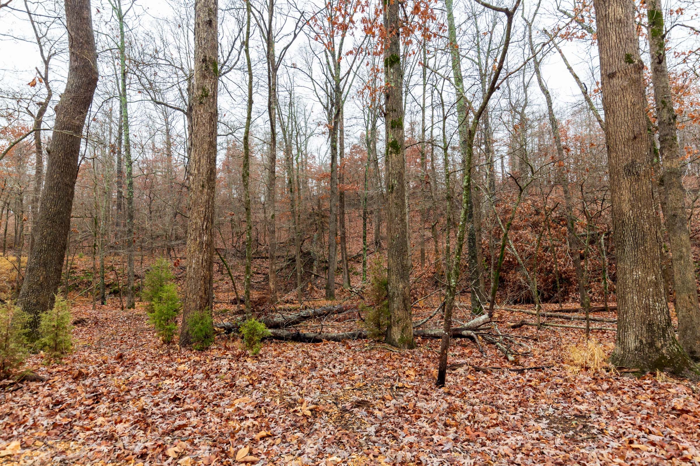 Carter’s Crossing Tract 11 photo 7