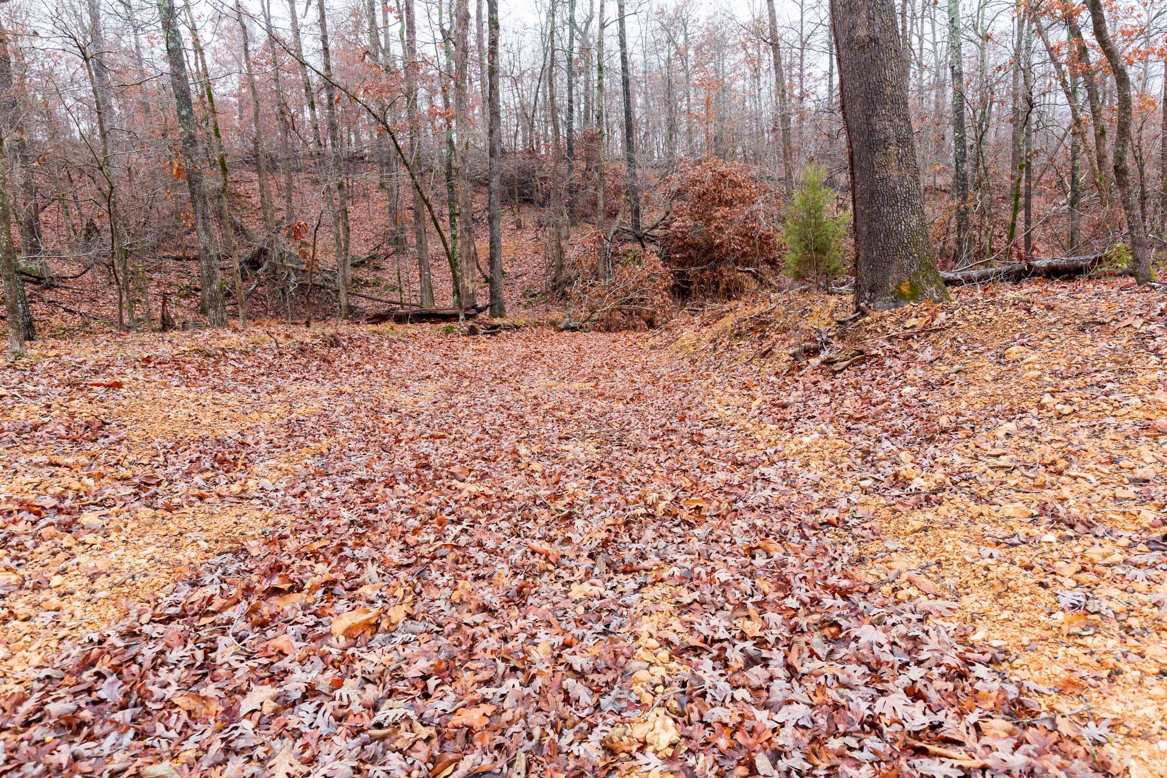 Carter’s Crossing Tract 11 photo 8