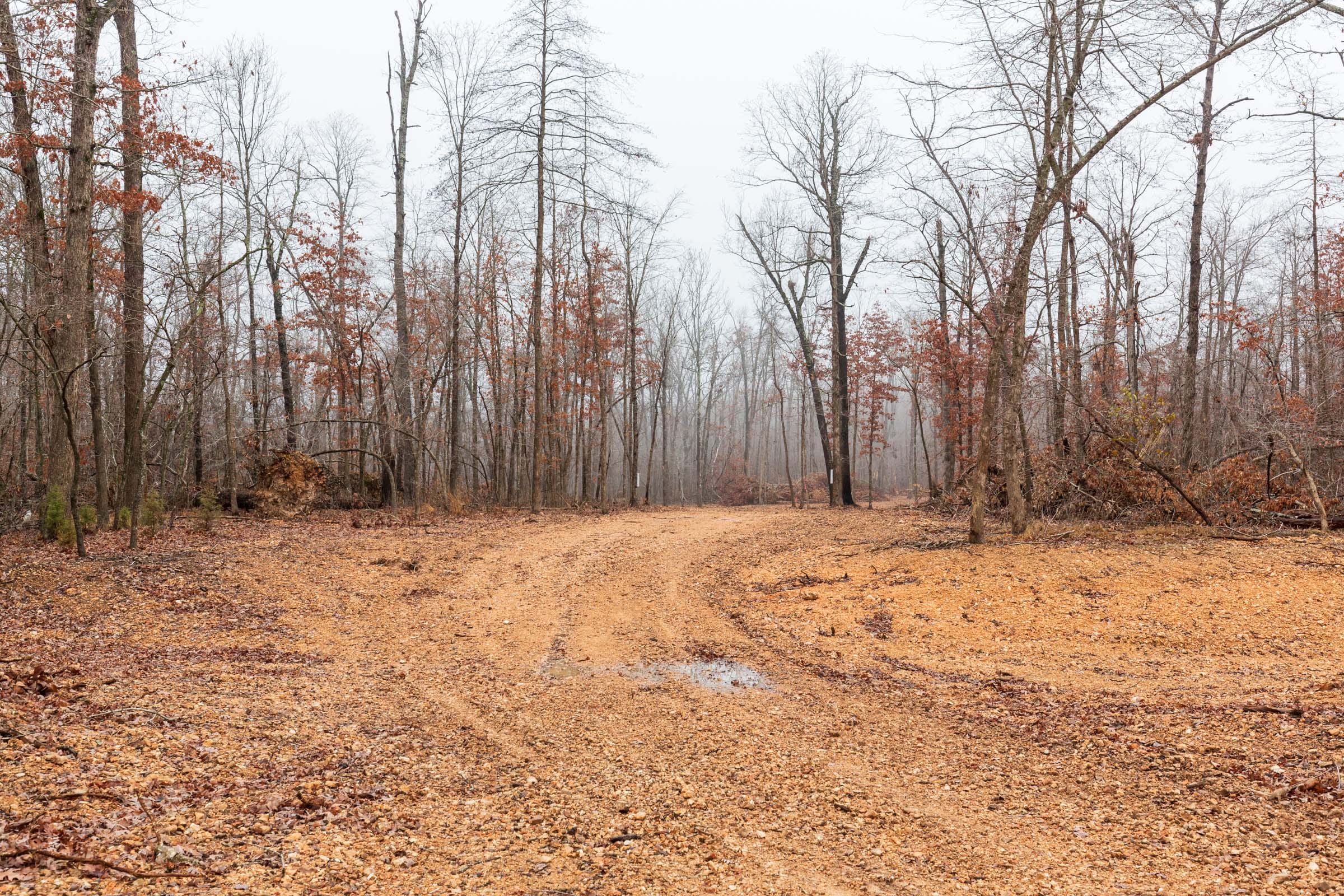 Carter’s Crossing Tract 11 photo 1